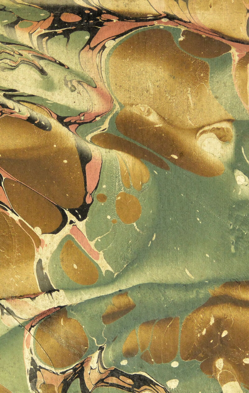 No text description is available for this image