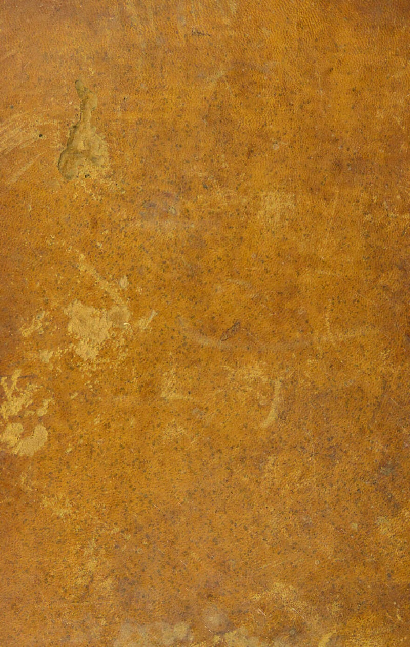 No text description is available for this image