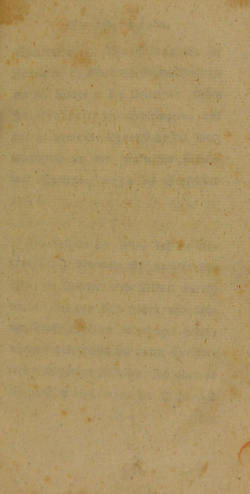 w* !• • / j*- n,-j r* ' > ^ • (' / ■ * ■ \ • »’ r