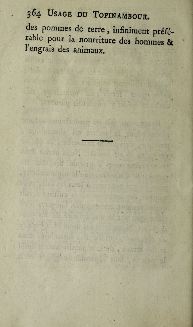 3^4 Usage du Topinambour. des pommes de terre, infiniment préfé- rable pour la nourriture des hommes &