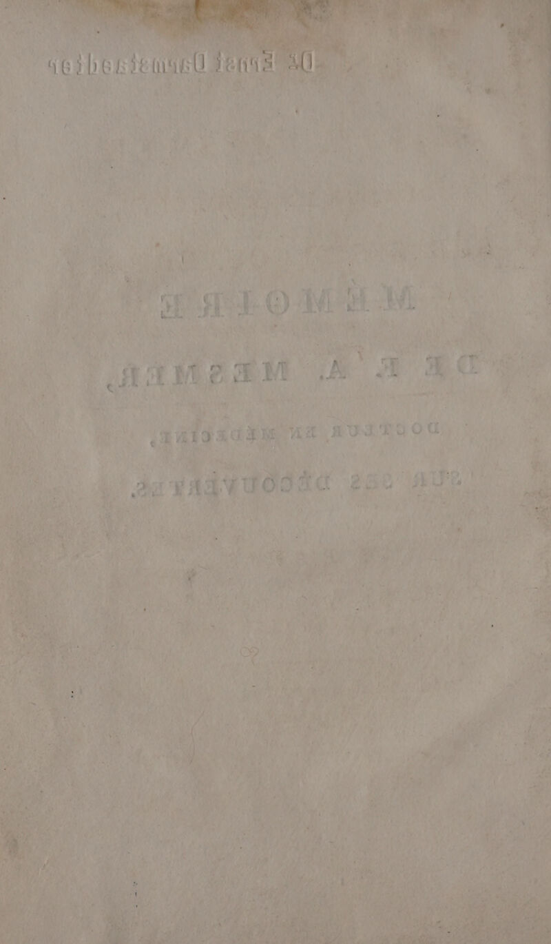 SE LP t $ AA + Pur nvaaoou « va , soft we Ge HUE | NN ARRE &gt; nn’: