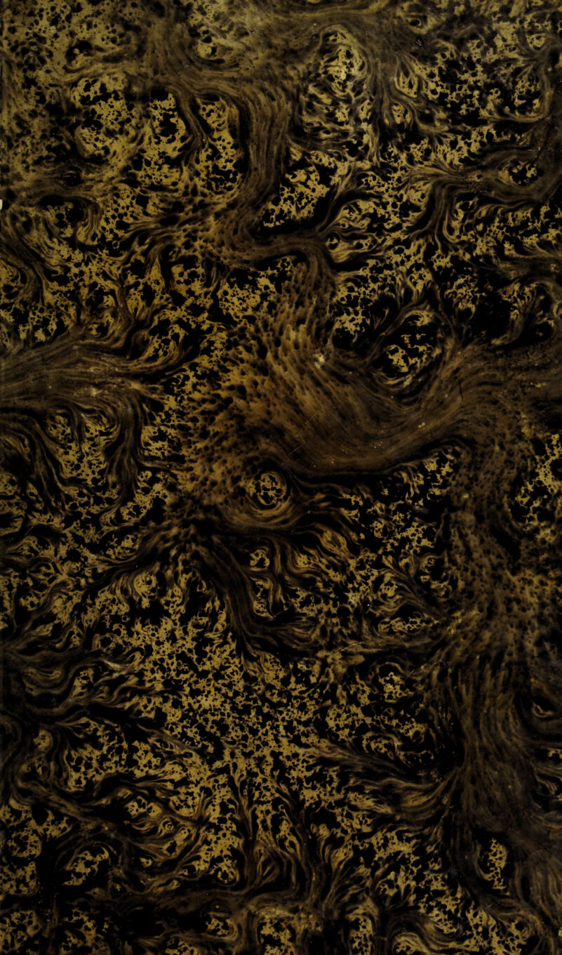 fö-Wi smg&j 1 'lRfl|] , v* • ^ WÜ P&Sl