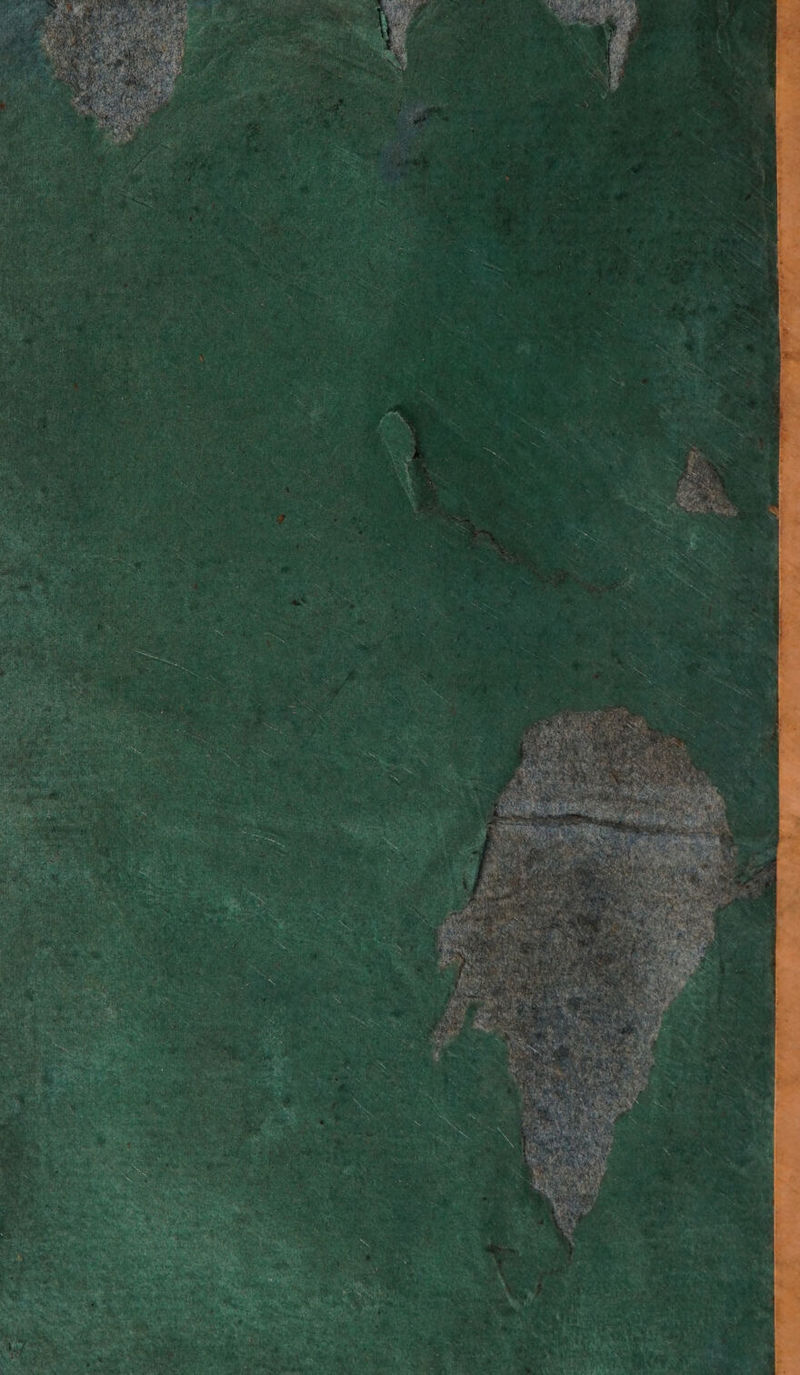 No text description is available for this image