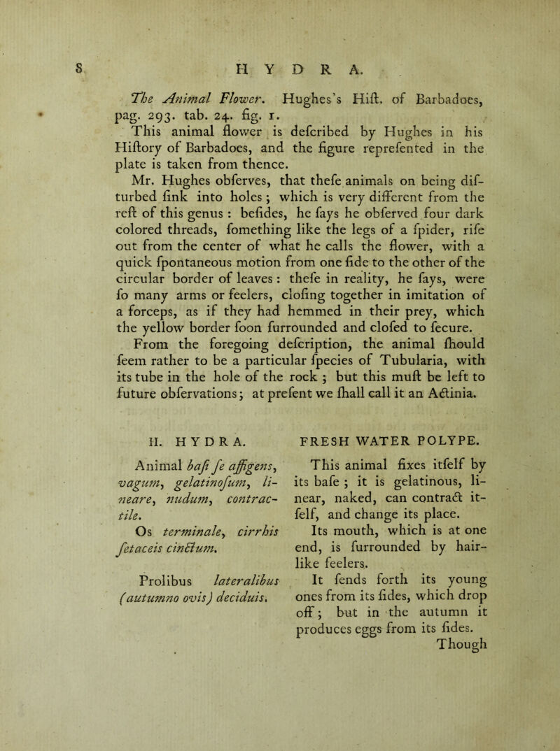 T^he Animal Flower, Hughes’s Hift. of Barbadocs, pag. 293. tab. 24. fig. r. This animal flower is defcribed by Hughes in his Hiftory of Barbadoes, and the figure reprefented in the plate is taken from thence. Mr, Hughes obferves, that thefe animals on being dif- turbed fink into holes; which is very different from the reft of this genus : befides, he fays he obferved four dark colored threads, fomething like the legs of a fpider, rife out from the center of what he calls the flower, with a quick fpontaneous motion from one fide to the other of the circular border of leaves: thefe in reality, he fays, were fo many arms or feelers, clofing together in imitation of a forceps, as if they had hemmed in their prey, which the yellow border foon furrounded and clofed to fecure. From the foregoing defcription, the animal fhould feem rather to be a particular fpecies of Tubularia, with its tube in the hole of the rock ; but this muft be left to future obfervations; at prefent we fhall call it an Acftinia. FRESH WATER POLYPE. This animal fixes itfelf by its bafe ; it is gelatinous, li- near, naked, can contradt it- felf, and change its place. Its mouth, which is at one end, is furrounded by hair- like feelers. It fends forth its young ones from its fides, which drop off; but in the autumn it produces eggs from its fides. Though II. HYDRA. Animal baji fe ajffigejts^ vagtwty gelatinofnm^ li- neare^ 7iudu7n^ contrac- tile. Os terminale., cirrhis fetaceis cinEium, Prolibus later alibus (autumno ovis) deciduis.