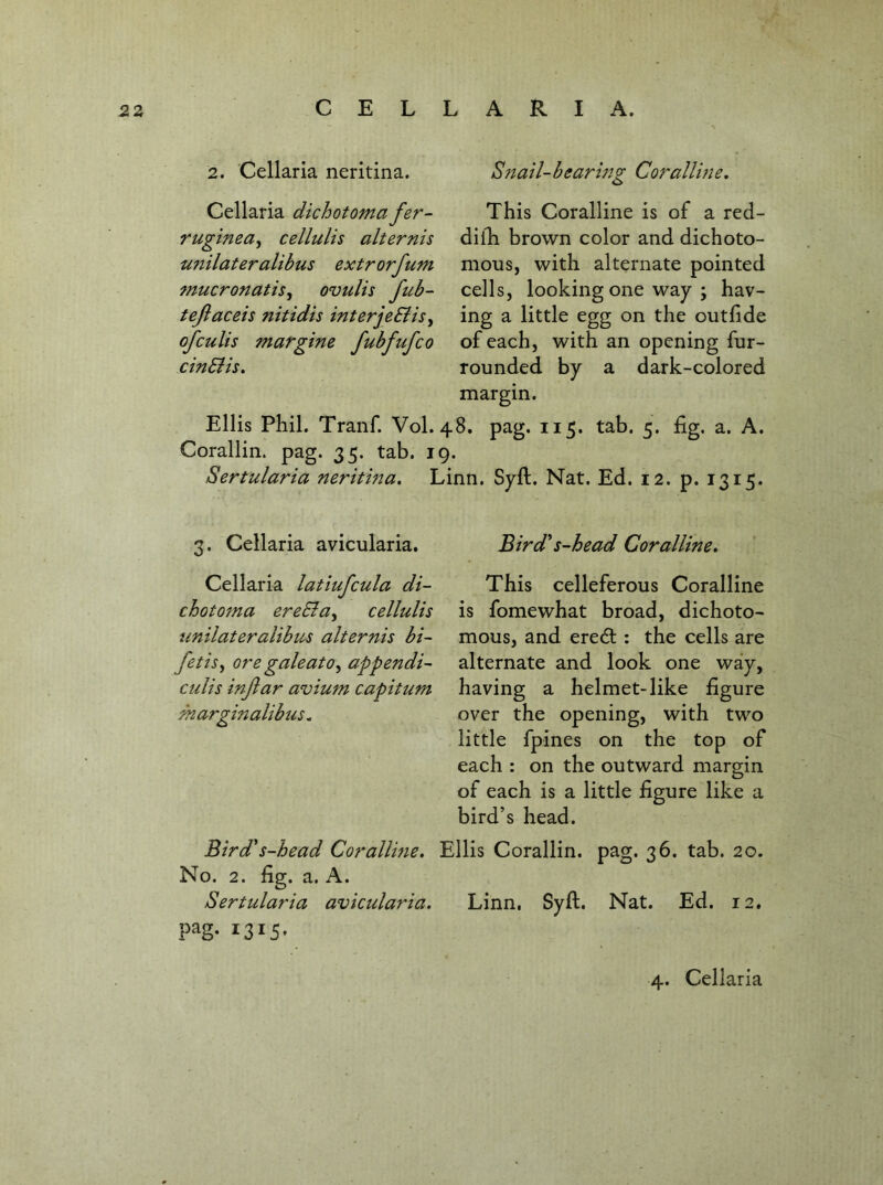 2. Cellaria neritina. Snail-bearing Coralline, Cellaria dichotoma fer- ruginea^ cellulis alternis U7iilateralibu5 extrorfum 7nucronatiSy ovulis fub- tejlaceis nitidis interje&isy ofculis margine fubfufco cinBis, This Coralline is of a red- diih brown color and dichoto- mous, with alternate pointed cells, looking one way ; hav- ing a little egg on the outfide of each, with an opening fur- rounded by a dark-colored margin. Ellis Phil. Tranf. Vol. 48. pag. 115. tab. 5. fig. a. A. Corallin. pag. 35. tab. 19. Sertularia neritina, Linn. Syft. Nat. Ed. 12. p. 1315. 3. Cellaria avicularia. Cellaria latiufcula di- chototna ereSla^ cellulis unilateralibus alternis bi- fetis^ ore gale at 0^ appendi- culis injlar avium capitum marginalibus. Bird s-head Coralline, This celleferous Coralline is fomewhat broad, dichoto- mous, and eredt: the cells are alternate and look one way, having a helmet-like figure over the opening, with two little fpines on the top of each : on the outward margin of each is a little figure like a bird’s head. Bird*s-head Corallme, Ellis Corallin. pag. 36. tab. 20. No. 2. fig. a. A. Sertularia avicularia, Linn. Syft. Nat. Ed. 12. pag. 1315*