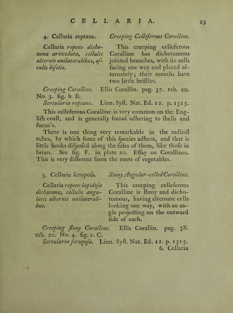 4. Cellaria reptaus. Creeping Celleferous Coralline, Cellaria repens dicho- toma articulata^ cellulis alternis unilateralibus^ of- culis bifetis. This creeping celleferous Coralline has dichotomous jointed branches, with its cells facing one way and placed al- ternately; their mouths have two little briftles. Creeping Coralline, Ellis Corallin. pag. 37. tab. 20. No. 3. fig. b. B. Sertularia reptans. Linn. Syfl:. Nat. Ed. 12. p. 1315. This celleferous Coralline is very common on the Eng- lifh coaft, and is generally found adhering to fhells and fucus’s. There is one thing very remarkable in the radical tubes, by which fome of this fpecies adhere, and that is little hooks difpofed along the fides of them, like thofe in briars. See fig. F. in plate 20. ElTay on Corallines^ This is very different from the roots of vegetables. 5. Cellaria fcrupofa. St07iy Ai'igular-celled Corallme, Cellaria repens lapidofa dichotoma^ cellulis angu- latis alternis unilaterali- bus. This creeping celleferous Coralline is ftony and dicho- tomous, having alternate cells looking one way, with an an- gle projecting on the outward fide of each; Creeping Jlony Coralline, Ellis Corallin. pag. 38.. tab. 20. No. 4. fig. c. C. Sertularia fcrupofa,. Linn. Syfl. Nat. Ed. 12. p. 1315. 6. Cellaria^