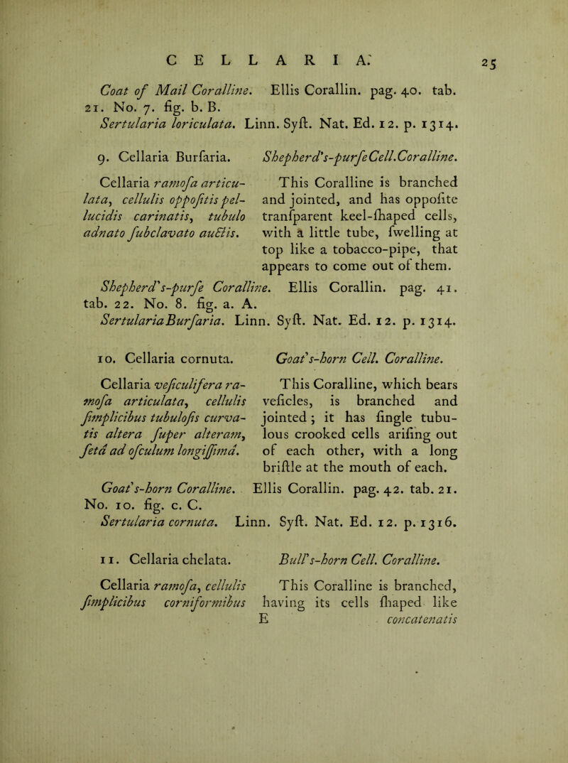 Coat of Mail Coralline^ Ellis Corallin. pag. 40. tab. 21. No. 7. fig. b. B. Sertularia loriculata* Linn. Syft. Nat. Ed. 12. p. 1314. 9. Cellaria Burfaria. Shepherd*s~purfeCell.Coralline. Cellaria raniofa articu- lata^ celluUs oppoftis pel- lucidis carinatisy tubtdo adnato fubclavato auSlis. Shepherd^s-ptirfe Coralline. tab. 22. No. 8. fig. a. A. This Coralline is branched and jointed, and has oppofite tranfparent keel-fhaped cells, with a little tube, fwelling at top like a tobacco-pipe, that appears to come out of them. Ellis Corallin. pag. 41. SertulariaBurfaria. Linn. Syft. Nat. Ed. 12. p. 1314. 10. Cellaria cornuta. Cellaria veficulifera ra- mofa articulatay cellulis ffnplicibus tubulofis curva- tis altera fuper alteramy feta ad ofculum loi'igiffimd. Goads-horn Cell. Coralline. This Coralline, which bears veficles, is branched and jointed; it has fingle tubu- lous crooked cells arifing out of each other, with a long briftle at the mouth of each. Goads-horn Coralline. - Ellis Corallin. pag. 42. tab. 21. No. 10. fig. c. C. Sertularia cornuta. Linn. Syft. Nat. Ed. 12. p. 1316. II. Cellaria chelata. Buirs-horn Cell. Coralline. ratnofay cellulis This Coralline is branched, fijfiplicibus corniformihus having its cells ftiaped like E concatenatis