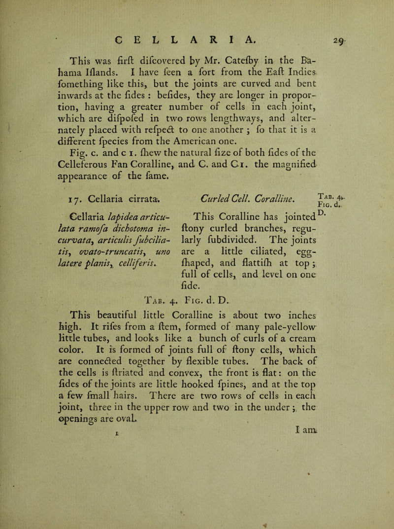 This was £rft difcovered by Mr. Catefby in the Ba- hama Idands. I have Teen a fort from the Eaft Indies, fomething like this, but the joints are curved and bent inwards at the fides : beddes, they are longer in propor- tion, having a greater number of cells in each joint, which are difpoled in two rows lengthways, and alter- nately placed with refpedl to one another ; fo that it is a different fpecies from the American one. Fig. c. and c i. fhev/ the natural fize of both fides of the Celleferous Fan Coralline, and C. and Ci. the magnified appearance of the fame. 17. Cellaria cirrata. Cell aria lapidea ariicu- lata ramofa dichotoma in- curvata^ articulis fubctlia- tis^ ovato-truncatisy uno latere planisy^ celliferis. Curled Cell, Coralline, Tab. 4^. Fig. d,. This Coralline has jointed^* ftony curled branches, regu- larly fubdivided. The joints are a little ciliated, egg- fhaped, and flattifh at top; full of cells, and level on one fide. Tab.. 4. Fig. d. D. This beautiful little Coralline is about two inches high. It rifes from a ftem, formed of many pale-yellow little tubes, and looks like a bunch of curls of a cream color. It is formed of joints full of ftony cells, which are conneded together by flexible tubes. The back of the cells is ftriated and convex, the front is flat: on the fides of the joints are little hooked fpines, and at the top a few fmall hairs. There are two rows of cells in each joint, three in the upper row and two in the under the openings are oval. , I amu