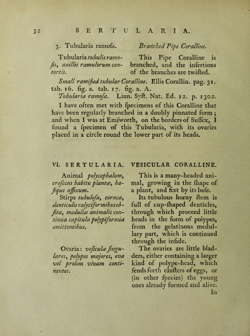 3. Tubularia ramofa. Bra?fched Pipe Coralline, ^\:^\A2ix\2LtuhuUsramo~ This Pipe Coralline is axillis ratnulorum con- branched, and the infertions tortis, of the branches are twifted. Small ramified tubular Coralline, Ellis Corallin. pag. 31. tab. 16. fig. a. tab. 17. fig. a. A. ’Ptchularda ramofa, Linn. Syft. Nat. Ed. 12. p. 1302. I have often met with fpecimens of this Coralline that have been regularly branched in a doubly pinnated form ; and when I was at Emfworth, on the borders of Suflex, I found a fpecimen of this Tubularia, with its ovaries placed in a circle round the lower part of its heads. VI. S E R T U L A R I A. Animal polycephalum^ crefce7ts habitu plantba- fque affixum, Stirps tubulofa^ cornea,^ de7iticulis calycifor7nibusob- fta^ 7nedull£B anunalis co7i- tmua capitula polypifor77iia e77iitte77tibus, Ovaria: veftculcz f777gu- lares^ polypos majoreSy ova vel prole77t viva7n conti- 7tentes, VESICULAR CORALLINE. This is a many-headed ani- mal, growing in the fhape of a plant, and fixt by its bafe. Its tubulous horny ftem is full of cup-fhaped denticles, through which proceed little heads in the form of polypes, from the gelatinous medul- lary part, which is continued through the infide. The ovaries are little blad- ders, either containing a larger kind of polype-head, which fends forth clufters of eggs, or (in other fpecies) the young ones already formed and alive. In