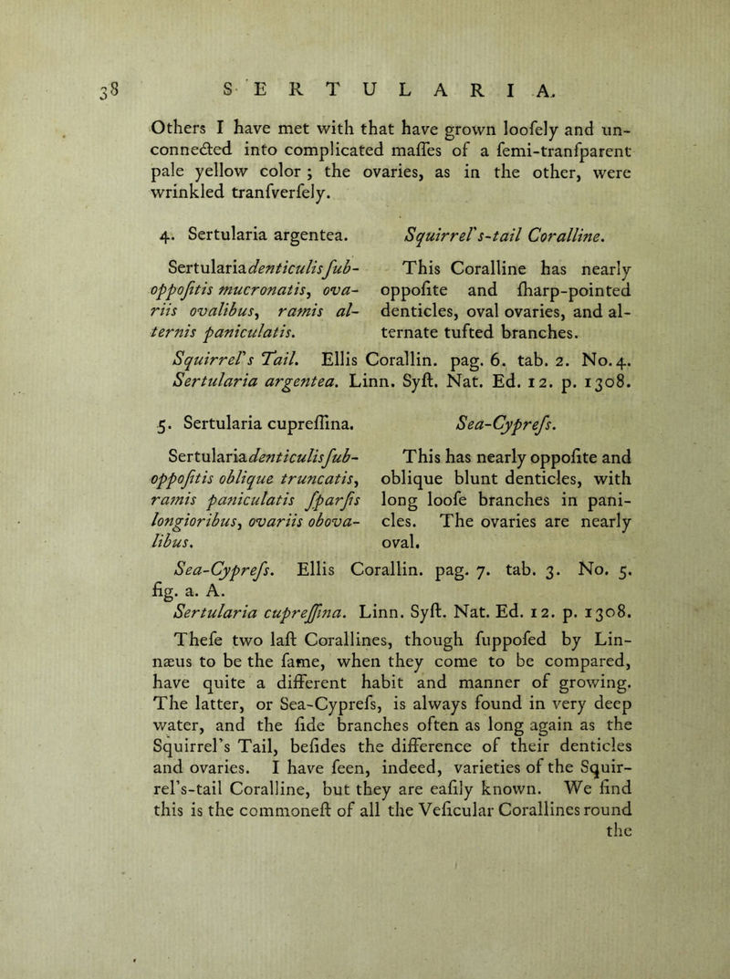 Others I have met with that have grown loofely and im- conneded into complicated mafles of a femi-tranfparent pale yellow color ; the ovaries, as in the other, were wrinkled tranfverfely. Squirrel's--tail Coralline, 4. Sertularia argentea. ^zxX.vX2iX\2identiculisfub- oppojitis mucronatis^ ova- riis ovalibus^ ramis al- ternis paniculatis. Squirrel's Tail, Ellis Corallin. pag. 6. tab. 2. No. 4. Sertularia argentea, Linn. Syft. Nat. Ed. 12. p. 1308. This Coralline has nearly oppofite and fharp-pointed denticles, oval ovaries, and al- ternate tufted branches. 5. Sertularia cupreflina. Sea-Cyprefs, ^^rtnXdirhidenticulisfub- oppojitis oblique truncatis^ ramis paniculatis fparjis longioribus-i ovariis obova- libus. This has nearly oppofite and oblique blunt denticles, with long loofe branches in pani- cles. The ovaries are nearly oval. Sea-Cyprefs, Ellis Corallin. pag. 7. tab. 3. No, 5. fig. a. A. Sertularia cuprejftna. Linn. Syft. Nat. Ed. 12. p. 1308. Thefe two laft Corallines, though fuppofed by Lin- naeus to be the fame, when they come to be compared, have quite a different habit and manner of growing. The latter, or Sea-Cyprefs, is always found in very deep water, and the fide branches often as long again as the Squirrel’s Tail, befides the difference of their denticles and ovaries. I have feen, indeed, varieties of the Squir- rel’s-tail Coralline, but they are eafily known. We find this is the commoneft of all the Veficular Corallines round