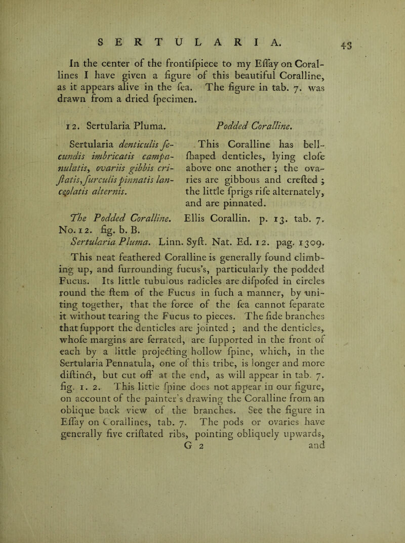 In the center of the frontifpiece to my Eflay on Coral- lines I have given a figure of this beautiful Coralline, as it appears alive in the fea. The figure in tab. 7. was drawn from a dried fpecimen. 12. Sertularia Pluma. Podded Coralline, Sertularia dentlculis fe- cundis imbricatis campa- nulatis^ ovariis gibbis cri~ jlatis^furculis pinnatis Ian- ceiplatis alternis. 'The Podded Corallme, No. 12. fig. b. B. This Coralline has bell-, flaaped denticles, lying clofe above one another y the ova- ries are gibbous and crefted y the little fprigs rife alternately, and are pinnated. Ellis Corallin. p. 13. tab. 7. Sertularia Pluma. Linn. Syft. Nat. Ed. 12. pag. 1309. This neat feathered Coralline is generally found climb- ing up, and furrounding fucus’s, particularly the podded Fucus. Its little tubulous radicles are difpofed in circles round the ftem of the Fucus in fuch a manner, by uni- ting together, that the force of the fea cannot feparate it without tearing the Fucus to pieces. The fide branches that fupport the denticles are jointed \ and the denticles,, whofe margins ai'e ferrated, are fupported in the front of each by a little projecting hollow fpine, which, in the Sertularia Pennatula, one of this tribe, is longer and more diftinct, but cut ofi' at the end, as will appear in tab. 7. fig. 1.2. This littie fpine does not appear in our figure, on account of the painter’s drawing the Coralline from an oblique back view of the branches. See the figure in EBay on c orallines, tab. 7. The pods or ovaries have generally five criftated ribs, pointing obliquely upwards,