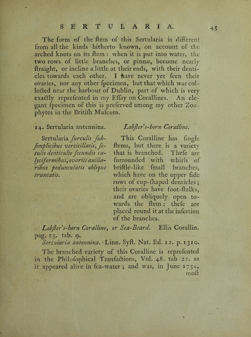 The form of the ftem of this Sertularia is different from all the kinds hitherto known, on account of the arched knots on its ftem : when it is put into water, the two rows of little branches, or pinnae, become nearly ftraight, or incline a little at their ends, with their denti- cles towards each other. I have never yet feen their ovaries, nor any other fpecimen, but that which was col- ledied near the harbour of Dublin, part of which is very exactly reprefented in my Effay on Corallines. An ele- gant fpecimen of this is preferved among my other Zoo- phytes in the Britifh Mufeum. 14. Sertularia antennina. Lohfi ers-horn Coralline. Sertularia furculis fub- ft7nplicibus verticillatis^ fe- tulis deiuiculis fecundis ca~ lyciformibus^ ovariis axilla-- ribus pedunctdatis oblique tru7tcatis. This Coralline has lino-le o ftems, but there is a varietv / j that is branched, Thefe are furrounded with whirls of briftle-like fmall branches, which have on the upper fide rows of cup-fhaped denticles; their ovaries have foot-flalks, and are obliquely open to- wards the ftem : thefe are placed round it at the infertion of the branches. Lobjl ers-horn Coralline^ or Sea-Beard. Ellis Corallin. pag. 15. tab. Q. Sertular'ia anten77ina. ^Linn. Syft. Nat. Ed. 12. p. 1310. The branched variety of this Coralline is reprefented in the Philofophical Tranfacftions, Vol. 48. tab 22. as it appeared alive in fea-water ; and was, in June 17545 moft %