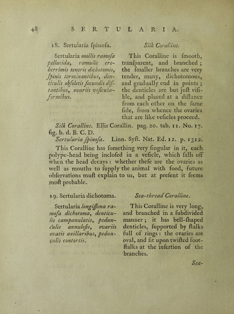 Silk Co7'allinc. This Coralline is fmooth, tranfparentj and branched ; the fmaller branches are very tender, many, dichotomous, and gradually end in points ; the denticles are but juft vift- ble, and placed at a diftance from each other on the fame ftde, from whence the ovaries that are like veftcles proceed. Silk Corallme. Ellis Corallin. pag. 20. tab. ii. No. 17. fig. b. d. B. C. D. Sertularia fpinofa. Linn. Syft. Nat. Ed. 12. p. 1312. This Coralline has fomething very fingular in it, each polype-head being inclofed in a veficle, which falls off when the head decays : whether thcfe are the ovaries as well as mouths to fiipply the animal with food, future obfervations muft explain to us, but at prefent it feems moft probable. ig. Sertularia dichotoma.. Sertularia longiffima ra- mofa dichotoma^ de77ticu- lis campanulatis^ ped.un- culis anmdojis^ ovariis ovatis axillaribuSj pedim- eulis contortis,. Sea- Sea-thread Coralline, This Coralline is very long,, and branched in a fubdividcd manner; it has bell-fhaped denticles, fupported by ftalks full of rings : the ovaries are oval, and fit upon twifted foot- ftalks at the infertion of the branches. ■ 18. Sertularia fpinofa. Sertularia fttollis ramofa pellucida^ ra77mlis cre- berrimis te7ieris dichot077ns^ Jpinis ter7ninantibus^ de77- ticulis obfoletis fecimdis dif- tantibtis^ ovariis veJiculcE- for77ribus.