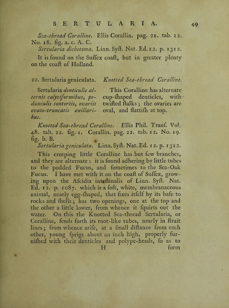 ■Sea-thread Coralline, Ellis Corallin. pag. 21. tab. 12. No. 18. fig. a. c. A. C. ■Sertularia dichotoma, Linn. Syft. Nat. Ed. 12. p. 1312. It is found on tlie Siifiex coafi:, but in greater plenty- on the coaft of Holland. 20. Sertularia geniculata. Sertularia denticulis' al- ternis calyciformibusy pe- dunculis contort is,, ovariis ovato-truncatis axillari- bus. Knotted Sea-thread Corallme. This Coralline has alternate cup-fhaped denticles, with twifted ftalks; the ovaries are oval, and flattifii at top. Knotted Sea-thread Coralline, Ellis Phil. Tranf. V0I. 48. tab. 22. fig. I. Corallin. pag. 22. tab. 12. No. 19. fig. b. B. . ■Sertulariageniculata. Linn. Syft. Nat. Ed. 12. p. 1312, This creeping little Coralline has but few branches, and they are alternate ; it is found adhering by little tubes to the podded Fucus, and fometimes to the Sea-Oak Fucus. I have met with it on the coafi: of Suffex, grow- ing upon the Afcidia inteftinalis of Linn. Syft. Nat. Ed. 12. p. 1087. which is a foftj white, membranaceous animal, nearly egg-fhaped, that fixes itfelf by its bafe to rocks and fheils; has two openings, one at the top and the other a little lower, from whence it fquirts out the water. On this the Knotted Sea-thread Sertularia, or Coralline, fends forth its root-like tubes, nearly in firait lines; from whence arife, at a fmall difiance from each other, young fprigs about an inch high, properly fur- nifhed v/ith their denticles and polype-heads, fo as to H form