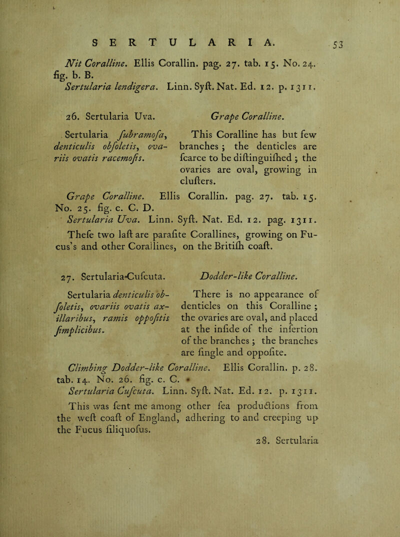 -53 Nit Coralline, Ellis Corallin. pag. 27. tab. 15. No. 24. fig. b. B. Sertularia lendigera. Linn. Syft. Nat. Ed. 12. p. 1311. 26. Sertularia Uva, Sertularia fubramofa^ de7tticulis obfoletis-^ ova- riis ovatis racemofis. Grape Corallme, This Coralline has but few branches ; the denticles are fcarce to be diftinguifhed j the ovaries are oval, growing in clufters. Grape Coralline. Ellis Corallin. pag. 27. tab. 15. No. 25. fig. c. C. D. ■ Sertularia Uva. Linn. Syft. Nat. Ed. 12. pag. 1311. Thefe two laft are parafite Corallines, growing on Fu- cus’s and other Corallines, on the Britifti coaft. 27. Sertularia^Cufcuta. Dodder-like Corallme. Sertularia denticulis oh- There is no appearance of foletis^ ovariis ovatis ax- denticles on this Coralline ; illaribusy ramis oppojitis the ovaries are oval, and placed Jimplicibus. at the infide of the' infertion of the branches; the branches are fingle and oppofite. Clhnbing Dodder-like Coralline. Ellis Corallin. p. 28. tab. 14. No. 26. fig. c. C. * Sertularia Cufcuta. Linn. Syft. Nat. Ed. 12. p. 1311. This was fent me among other fea produdions from the weft coaft of England, adhering to and creeping up the Fucus filiquofus.