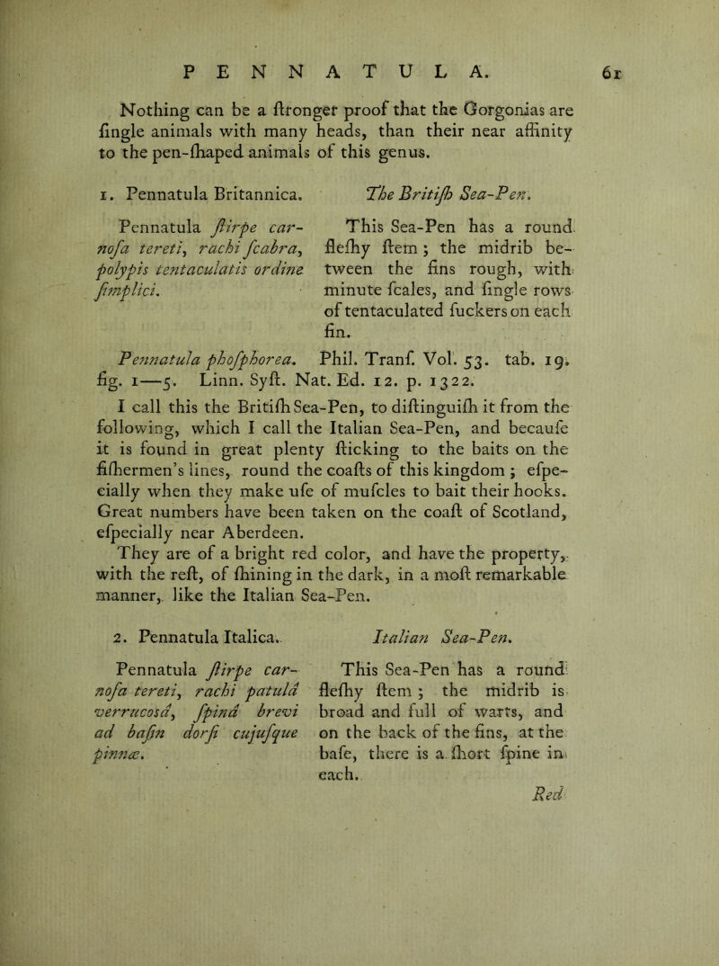Nothing can be a fttongef proof that the Oorgonias are Engle animals with many heads, than their near affinity to the pen-ffiaped animals of this genus. I. Pennatula Britannica, Pennatula fiirpe cai^~ nofa tereti^ rachi fcabra^ polypis tentaculatis ordine. Jjmplici, Tdhe Britijh Bea-Pefu This Sea-Pen has a round' fleffiy ftem; the midrib be- tween the fins rough, with; minute fcales, and fingle rows of tentaculated fuckers on each fin. Fefinatula phofphorea, Phil. Tranf. Vol'. 5-3. tab. 19; fig. I—5. Linn. Syft. Nat. Ed. 12. p. 1322. I call this the Britiffi Sea-Pen, to difiinguifh it from the following, which I call the Italian Sea-Pen, and becaufe it is found in great plenty flicking to the baits on the fiffiermen’s lines, round the coafts of this kingdom ; efpe- eially when they make ufe of mufcles to bait their hooks. Great numbers have been taken on the coaft of Scotland, efpecially near Aberdeen. They are of a bright red color, and have the property,- with the reft, of ffiining in the dark, in a moft remarkable like the Italian Sea-Pen. manner 2. Pennatula Italica., Italian Sea-Pen, Pennatula fiirpe car- This Sea-Pen has a round’ nofa tereti^ rachi patuld fleffiy ftem ; the midrib is> •verrucosa^ fpind brevi broad and full of warts, and ad bafin dorfi cujufque on the back of the fins, at the pinnae-, bafe, there is a. fliort fpine in; each.. Red