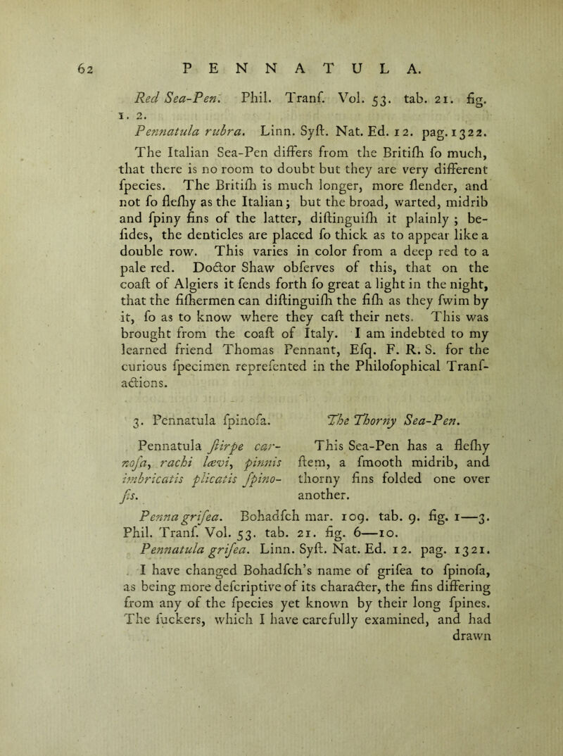 Red Sea-Pen. Phil. Tranf. Vol. 53. tab. 21. fig. I. 2. Pennatula rubra. Linn. Syft. Nat. Ed. 12. pag.1322. The Italian Sea-Pen differs from the BritifK fo much, that there is no room to doubt but they are very different fpecies. The Britifh is much longer, more {lender, and not fo flelhy as the Italian; but the broad, warted, midrib and fpiny fins of the latter, diftinguifli it plainly ; be- fides, the denticles are placed fo thick as to appear like a double row. This varies in color from a deep red to a pale red. Doctor Shaw obferves of this, that on the coafl: of Algiers it fends forth fo great a light in the night, that the fifhermen can diflinguifh the fifh as they fwim by it, fo as to know where they caft their nets. This was brought from the coaft of Italy. T am indebted to my learned friend Thomas Pennant, Efq. F. R. S. for the curious fpecimen reprefented in the Pfiilofophical Tranf- adiions. 3. Pennatula fpinofa. Tdhe ’Thorny Sea-Pen. Pennatula Jlirpe car- nofa^ rachi IcEvi^ pinnis imbricatis plicatis Jpino- f.s. ^ This Sea-Pen has a fiefliy fiem, a fmooth midrib, and thorny fins folded one over another. Pennagrifea. Bohadfch mar. log. tab. 9. fig. i—3. Phil. Tranf. Vol. 53. tab. 21. fig. 6—10. Pennatula grifea. Linn. Syfl. Nat. Ed. 12. pag. 1321. . I have changed Bohadfch’s name of grifea to fpinofa, as being more defcriptive of its charadler, the fins differing from any of the fpecies yet known by their long fpines. The fuckers, which I have carefully examined, and had drawn