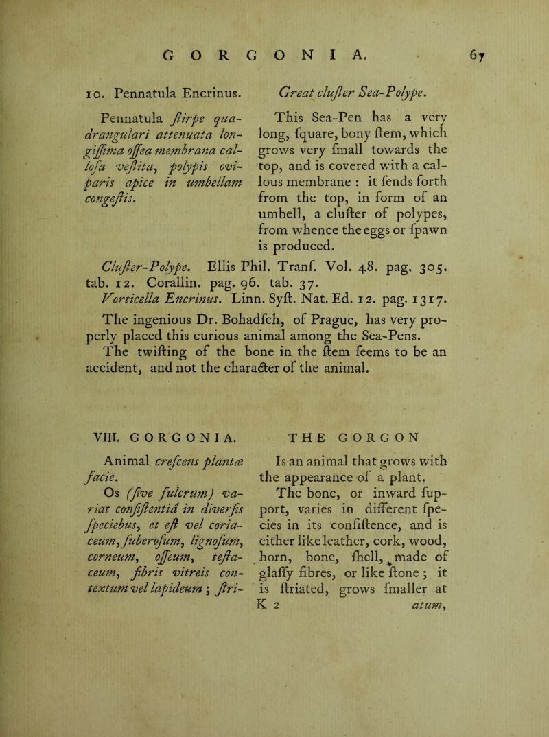 paris apice in umbellam congejlis. 10. Pennatula Encrinus. Great^clufier Sea-Polype, Pennatula Jlirpe qua- This Sea-Pen has a very drangulari attenuata Ion- long, fquare, bony ftem, which gijftma ojfea membrana cal- grows very fmall towards the lofa vejlita^ polypis ovi- top, and is covered with a cal- lous membrane : it fends forth from the top, in form of an umbell, a clufter of polypes, from whence the eggs or fpawn is produced. Clujler-Polype, Ellis Phil. Tranf. Vol. 48. pag, 305. tab. 12. Corallin. pag. 96. tab. 37. Vorticella Encrinus, Linn. Syft. Nat. Ed. 12. pag. 1317. The ingenious Dr. Bohadfch, of Prague, has very pro- perly placed this curious animal among the Sea-Pens. The twifting of the bone in the ftem feems to be an accident, and not the charader of the animal. VIII. G O R G O N I A. THE GORGON Animal crefcens pla7itce facie. Os (five fulcrum) va- riat confifientid in diverfis fpeciebus^ et efi vel coria- ceum^fuberofu7n^ lignofwn^ corneum^ ojfeum^ tefia- ceum^ fibris vitreis con- textumvel lapideum \ firi- Is an animal that grows with the appearance of a plant. The bone, or inward fup- port, varies in different fpe- cies in its confiftence, and is either like leather, cork, wood, horn, bone, fhell, ^made of glaffy fibres, or like fione ; it is ftriated, grows fmaller at K 2 atum^