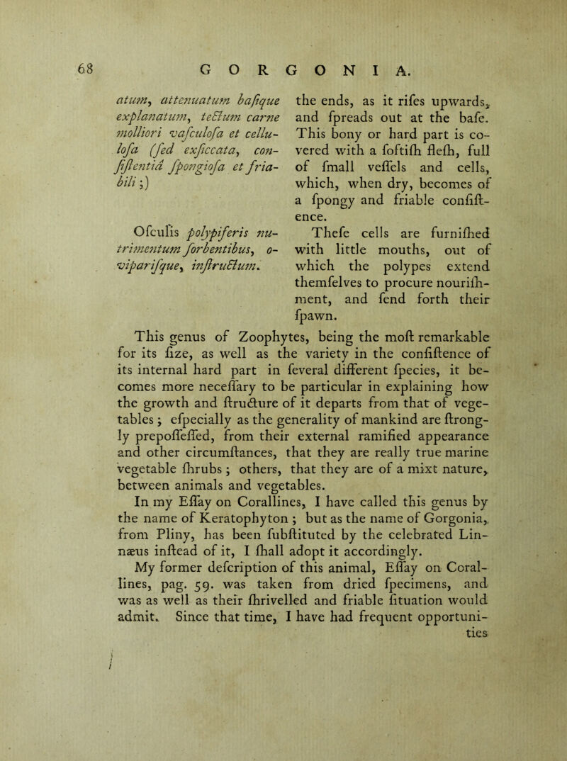 the ends, as it rifes upwards^ and fpreads out at the bafe. This bony or hard part is co- vered with a foftifh flefh, full of fmall velTels and cells, which, when dry, becomes of a fpongy and friable conlift- ence. Thefe cells are furnifhed with little mouths, out of which the polypes extend themfelves to procure nourilli- ment, and fend forth their fpawn. This geaus of Zoophytes, being the mold remarkable for its fize, as well as the variety in the confiftence of its internal hard part in feveral different fpecies, it be- comes more neceffary to be particular in explaining how the growth and ftrudure of it departs from that of vege- tables ; efpecially as the generality of mankind are ftrong- ly prepoffelfed, from their external ramified appearance and other circumftances, that they are really true marine Vegetable flirubs ; others, that they are of a mixt nature,, between animals and vegetables. In my Effay on Corallines, I have called this genus by the name of Keratophyton ; but as the name of Gorgonia,. from Pliny, has been fubftituted by the celebrated Lin- naeus inftead of it, I fhall adopt it accordingly. My former defcription of this animal, Effay on Coral- lines, pag. 59. was taken from dried fpecimens, and was as well as their fhrivelled and friable fituation would admit.. Since that time, I have had frequent opportuni- ties atum^ atte?iuatum baftque explanatiwi^ teSlum came 7noUiori vafciilofa et cellu- lofa (fed exficcata^ con- fiflejitid fpongiofa et fria- bili;) Ofculis poljpiferis nu-' trime7itwn forbentibus^ 0- viparifquey^ inflruSiujn. }