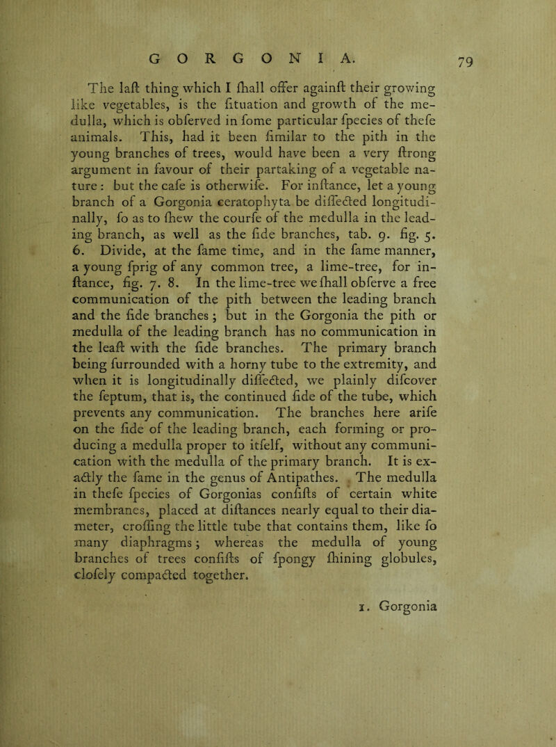 The lad thing which I fliall oiFer againft their grov/ing like vegetables, is the htnation and growth of the me- dulla, which is obferved in fome particular fpecies of thefe animals. This, had it been fimilar to the pith in the young branches of trees, would have been a very ftrong argument in favour of their partaking of a vegetable na- ture : but the cafe is otherwise. For inftance, let a young branch of a Gorgonia ceratophyta be diffedled longitudi- nally, fo as to {hew the courfe of the medulla in the lead- ing branch, as well as the fide branches, tab. g. fig. 5. 6. Divide, at the fame time, and in the fame manner, a young fprig of any common tree, a lime-tree, for in- ftance, fig. 7. 8. In the lime-tree we fhall obferve a free communication of the pith between the leading branch and the fide branches; but in. the Gorgonia the pith or medulla of the leading branch has no communication in the lead: with the fide branches. The primary branch being furrounded with a horny tube to the extremity, and when it is longitudinally diffedled, we plainly difcover the feptum, that is, the continued fide of the tube, which prevents any communication. The branches here arife on the fide of the leading branch, each forming or pro- ducing a medulla proper to itfelf, without any communi- cation with the medulla of the primary branch. It is ex- actly the fame in the genus of Antipathes, The medulla in thefe fpecies of Gorgonias confifts of certain white membranes, placed at diftances nearly equal to their dia- meter, eroding the little tube that contains them, like fo many diaphragms; whereas the medulla of young branches of trees confifts of fpongy {Lining globules, clofely compaded together. I. Gorgonia