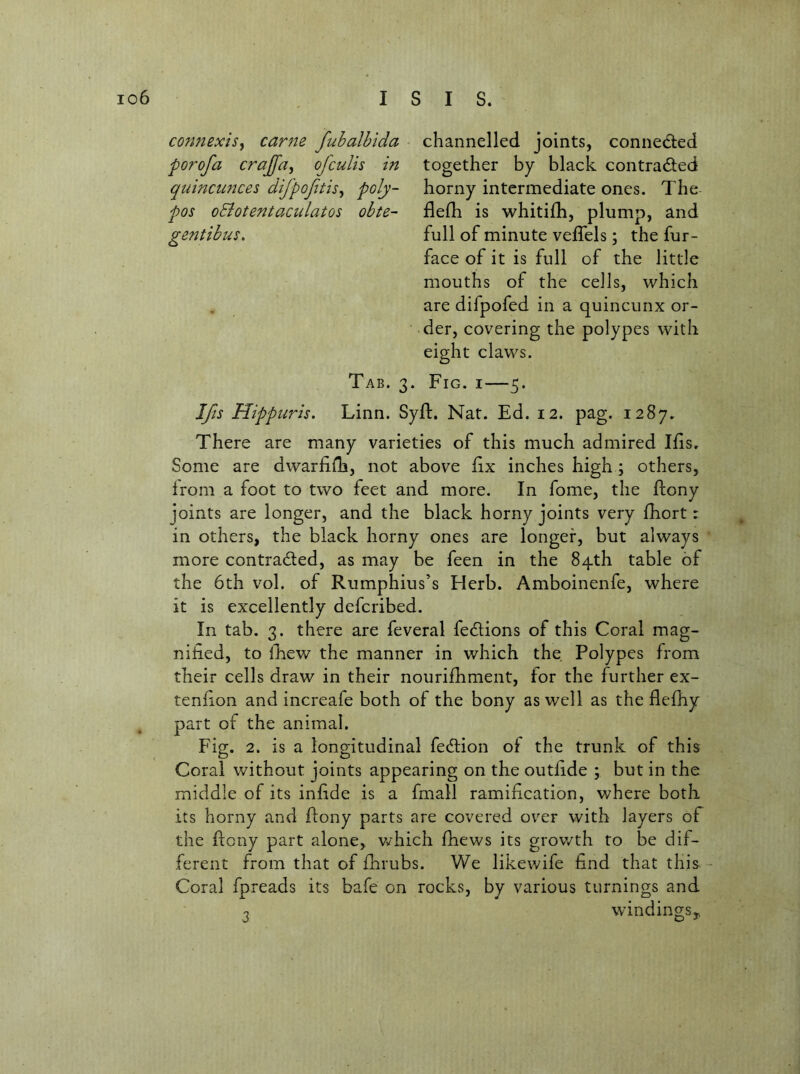 connexis^ came fubalbida porofa crajfa, ofculis in quinctmces difpojitis^ poly- pos oBotentaculatos obte~ gent thus. channelled joints, connedled together by black contracted horny intermediate ones. The flefh is whitifh, plump, and full of minute veffels; the fur- face of it is full of the little mouths of the cells, which are difpofed in a quincunx or- • der, covering the polypes with eight claws. Tab. 3. Fig. i—5. Ifis Hippuris. Linn. Syft. Nat. Ed. 12. pag. 1287. There are many varieties of this much admired Ihs. Some are dwarfiili, not above fix inches high; others, from a foot to two feet and more. In fome, the ftony joints are longer, and the black horny joints very fhort: in others, the black horny ones are longer, but always more contracted, as may be feen in the 84th table of the 6th vol. of Rumphius’s Herb. Amboinenfe, where it is excellently defcribed. In tab. 3. there are feveral feCtions of this Coral mag- nified, to lEew the manner in which the Polypes from their cells draw in their nourifhment, for the further ex- tenfion and increafe both of the bony as well as the flefhy part of the animal. Fig. 2. is a longitudinal feCtion of the trunk of this Coral without joints appearing on the outfide ; but in the middle of its infide is a fmall ramification, where both its horny and flony parts are covered over with layers of the flony part alone, v/hich fhews its grov/th to be dif- ferent from that of fhrubs. We likewife find that this Coral fpreads its bafe on rocks, by various turnings and windings,, 3