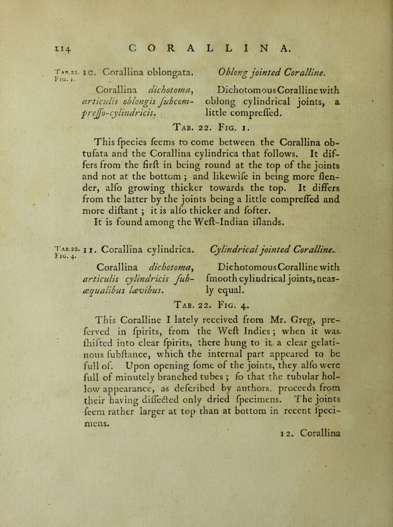 Tab.22. 10. Corallina oblongata. Fig. 1. , ^ Corallina dichotoma^ articulis oblo?igis fubcom- prejj'a-cylmdricis. Oblofig jointed Coralline, Dichotomous Coralline with oblong cylindrical joints, a little compreffed. Tab. 22. Fig. i. This fpecies feems to come between the Corallina ob- tufata and the Corallina cylindrica that follows. It dif- fers from the firfl in being round at the top of the joints and not at the bottom ; and likewife in being more {len- der, alfo growing thicker towards the top. It differs from the latter by the joints being a little compreffed and more diftant ; it is alfo thicker and fofter. It is found among the Weft-Indian iflands. tab.22. II. Corallina cylindrica.. Cylindrical jointed Coralline,- Corallina dichotoma,^ Dichotomous Coralline with articulis cylindricis fub- fmooth cylindrical joints, neas- aequalibus Icevibus, iy equal., ■ Tab. 22. Fig. 4. This Coralline I lately received from Mr. Greg, pre- ferved in fpirits, from the Weft Indies; when it was. ftiifted into clear fpirits, there hung to it. a clear gelati- nous fubftance, which the internal part appeared to be full of. Upon opening fome of the joints, they alfo were full of minutely branched tubes ; fo that the tubular hol- low appearance, as deferibed by authors, proceeds from their having difieded only dried fpecimens. The joints feem rather larger at top than at bottom in recent Ipeci- mens.