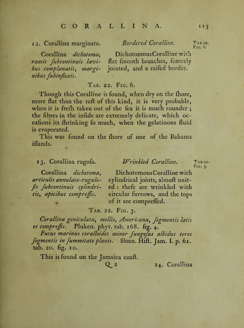 12. Corallina marginata. Bordered Coralline> Corallina dichotoma^ Dichotomous Coralline with ramis fubcontinuis. Icevi- flat fmooth branches, fcarcely bus complanatis^ margi- jointed, and a raifed border. nibus fubinflexis. Tab. 22. Fig. 6. Though this Coralline is found, when dry on the fliore, more flat than the refl: of this kind, it is very probable, when it is frefh taken out of the fea it is much rounder ; the fibres in the infide are extremely delicate, which oc- cafions its flirinking fo much, when the gelatinous fluid is evaporated. This was found on the £hore of one of the Bahama iflands. 13. Corallina rugofa. IVrinkled Corallwe. Tab.22. Fig. 3. Corallina dichotoma^ Dichotomous Coralline with articulis annulato-rugulo- cylindrical joints, almofl: unit' Jis fubcontinuis cylindri- ed : thefe are wrinkled with c/j, apicibus comprejjis. circular furrows, and the tops . of it are compreflTed. Tab. 22. Fig. 3. Corallina geniculata^ mollis^ Ajnericana^ fegmentis latis et comprefjis. Pluken. phyt. tab. 168. fig. 4. Fucus marinus coralloides minor fungofus albidus teres fegmentis in fummitateplanis, Sloan. Hift. Jam. I. p. 61. tab. 20. fig. 10. This is found on the Jamaica coafl.