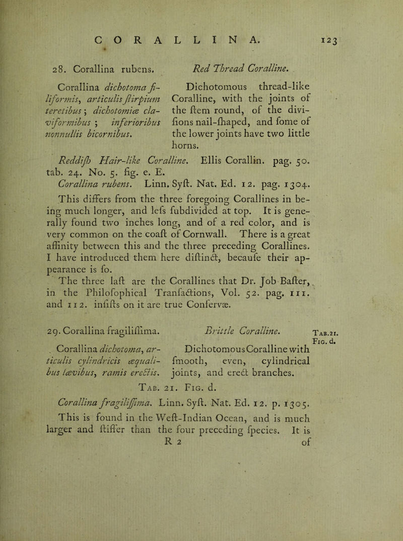 28. Corallina rubens. Red Thread Coralline. Corallina dichotoma Ji- Uformis^ articulisJHrpium teretibus; dichotomice cla- vformihus ; inferioribtis 7ion7ndlis bicornibus. ReddiJJj Hair-like Coralline. Ellis Corallin. pag. 50. tab. 24. No. 5. fig. e. E. Corallina rubens. Linn. Syft. Nat. Ed. 12. pag. 1304. This differs from the three foregoing Corallines in be- ing much longer, and lefs fubdivided at top. It is gene- rally found two inches long, and of a red color, and is very common on the coaft of Cornwall. There is a great affinity between this and the three preceding Corallines. I have introduced them here diftindl, becaufe their ap- pearance is fo. The three laft are the Corallines that Dr. Job Bafter,, in the Philofophical Tranfacftions, Vol. 52. pag. iii. and 112. infifts on it are true Confervas. Dichotomous thread-like Coralline, with the joints of the ftem round, of the divi- fions nail-fhaped, and fome of the lower joints have two little horns. 29. Corallina fragilifiima. Brittle Coralline. TAB.2r. Fig. d. CQX2}T\Yi2Ldichoto7na^ar- DichotomousCoralline with tirulis cylindricis requali- fmooth, even, cylindrical bus Ice-vibus^ ramis ereSiis. joints, and ere£t branches. Tab. 21. Fig. d. Corallina fragiliffma. Linn. Syft. Nat. Ed. 12. p. 1305. Th is is found in the Weft-Indian Ocean, and is much larger and ftifier than the four preceding fpecies. It is R 2 of
