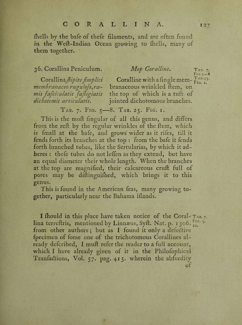 fhells by the bafe or tliefe filaments, and are often found in the Weft-Indian Ocean growing to fiiells, many of them together. 36. Corallina Peniculum. Corallinay^^^/V^ Jimplici memhra77aceo rugii mis fafcicidatis fajligiatis dichotG7nis articidatis. lofo^ra- Mop Corallme, ^ Tab. 7. Fj G . 5 S Coralline with a fin gle mem- branaceous wrinkled ftem, on the top of which is a tuft of jointed dichotomous branches. Tab. 7. Fig. 5—8. Tab. 25. Fig. i. This is the mod fingular of all this genus, and differs from the reft by the regular wrinkles of the ftem, which is fmall at the bafe, and grows'wider as it rifes, till it fends forth its branches at the top : from the bafe it fends forth branched tubes, like the Sertularias, by which it ad- heres : thefe tubes do not leffen as they extend, but have an equal diameter their whole length. When the branches at the top are magnified, their calcareous cruft full of pores may be diftinguifhed, which brings it to this genus. This is found in the American feas, many growing to- gether, particularly near the Bahama ifiands. I fhould in this place have taken notice of the Coral-Tab. 7. lina terreftris, mentioned by Linnseus, Syft. Nat. p. 1306. from other authors ; but as I found it only a defedtive fpecimen of fome one of the trichotomous Corallines al- ready defcribed, I muft refer the reader to a full account, which I have already given of it in the Philofophical Tranfadlions, Vol. 57. pag. 415. wherein the abfurdicy