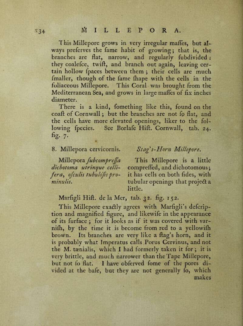 3+ This Millepore grows in very irregular mafTes, but al- ways preferves the fame habit of growing; that is, the branches are flat, narrow, and regularly fubdivided: they coalefce. twift, and branch out again, leaving cer- tain hollow fpaces betv/ecn them ; their cells are much fmaller, though of the fame fhape with the cells in the foliaceous Millepore. This Coral was brought from the Mediterranean Sea, and grows in large mafTes of fix inches diameter. There is a kind, fomething like this, found on the coafl; of Cornwall; but the branches are not fp flat, and the cells have more elevated openings, liker to the fol- lowing fpecies. See Borlafe Hift. Cornwall, tab. 24. %• 7- 8. Millepora cervicornis. Millepora fubcomprejfa dtchot07na utrinqtie celli- fera^ of cults tubulo'fispro- minulis. Stag s-Horn Millepore, This Millepore is a little compreffed, and dichotomous; it has cells on both fides, with tubular openings thatprojedta little. Marfigli Hift. de la Mer, tab. 32. fig. 152. This Millepore exadlly agrees with Marfigli’s deferip- tion and magnified figure, and likewife in the appearance of its furface ; for it looks as if it was covered with var- nifh, by the time it is become from red to a yellowifh brown. Its branches are very like a flag’s horn, and it is probably what Imperatus calls.Porus Cervinus, and not the M. tjenialis, which I had formerly taken it for; it is very brittle, and much narrower than the Tape Millepore, but not fo flat. I have obferved fome of the pores di- vided at the bafe, but they are not generally fo, which makes