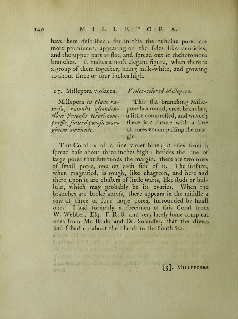 have here defcribed : for in this the tubular, pores are more prominent, appearing on the fides like denticles, and the upper part is flat, and fpread out in dichotomous branches. It makes a mod: elegant figure, when there is a group of them together, being milk-white, and growing to about three or four inches high. 17. Millepora violacea. Violet-coloredMillepore, Millepora in piano ra- mofa^ ra^nulis afcenden- tihus JlexuoJis tereti- com- prejffisyfuturdporofa mar- ginem afnbiente. This flat branching Mille- pore has round, ereil branches, a little comprefled, and waved; there is a future with a line of pores encompaflingthe mar- gin. This Coral is of a fine violet-blue; it rifes from a fpread bafe about three inches high : befides the line of large pores that furrounds the margin, there are two rows of fmall pores, one on each fide of it. The furface, when magnified, is rough, like chagreen, and here and there upon it are clufters of little warts, like ftuds or bul- lulae, which may probably be its ovaries. When the branches are broke acrofs, there appears in the middle a row^of three or four large pores, furrounded by fmall ones. I had formerly a fpecimen of this Coral from W. Webber, Efq. F. R. S. and very lately fome compleat ones from Mr. Banks and Dr. Solander, that the divers had fiflied up about the iflands in the South Sea. j I [5]. MiLLEPORJiS;