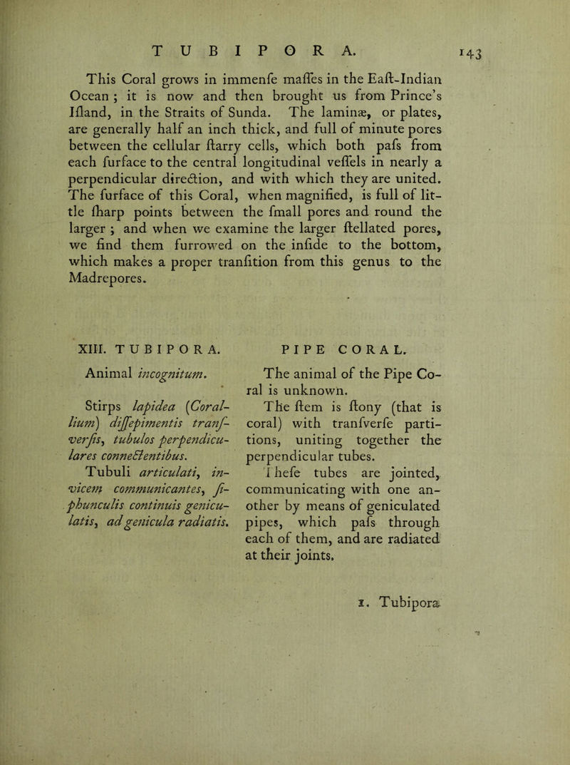 This Coral grows in immenfe mafTes in the Eaft~Indian Ocean ; it is now and then brought us from Prince’s Iflandj in the Straits of Sunda. The laminae, or plates, are generally half an inch thick, and full of minute pores between the cellular ftarry cells, which both pafs from each furface to the central longitudinal veffels in nearly a perpendicular diredion, and with which they are united. The furface of this Coral, when magnified, is full of lit- tle fharp points between the fmall pores and round the larger ; and when we examine the larger ftellated pores, we find them furrowed on the infide to the bottom, which makes a proper tranfition from this genus to the Madrepores. XIII. T U B I P O R A. PIPE CORAL. Animal mcognitum, Stirps lapidea [Coral- Hum) dijfepimentis tranf- verjis^ tubulos perpendicu- lares conneSientibus, Tubuli articulati^ in- vicem communicantesy Ji- phuncuUs continuis genicu- latisy adgenicula radiatis. The animal of the Pipe Co- ral is unknown. The fiem is ftony (that is coral) with tranfverfe parti- tions, uniting together the perpendicular tubes. i hefe tubes are jointed, communicating with one an- other by means of geniculated pipes, which pafs through each of them, and are radiated at their joints. I. Tubipora