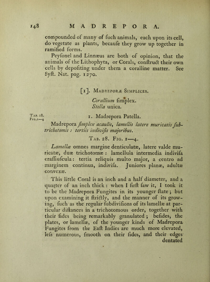 compounded of many of fuch animals, each upon its cell, do vegetate as plants, becaufe they grow up together in ramified forms. Peyfonel and Linnaeus are both of opinion, that the animals of the Lithophy ta, or Corals, conftrudl their own cells by depofiting under them a coralline matter. See Syft. Nat. pag. 1270. [i]. Madrepore Simplices. Corallnim finiplex. Stella unica. I. Madrepora Patella. Madrepora fimplex acaulis^ lamellis latere murlcatis fub- trichotomis : tertiis indivijls majoribus. Tab. 28. Fig. i—4. Lamellce omnes margine denticulatae, latere valde mu- ricatae, duae trichotomae : lamellula intermedia indivifa crafTiufcula: tertia reliquis multo major, a centro ad marginern continua, indivifa. Juniores planae, adultae convexae. This little Coral is an inch and a half diameter, and a quarter of an inch thick : when I firfi; faw it, I took it to be the Madrepora Fungites in its younger flate ; but upon examining it ftridtly, and the manner of its grow- ing, fuch as the regular fubdivifions of its lamellae at par- ticular diftances in a trichotomous order, together with their fides being remarkably granulated ; befides, the plates, or lamellae, of the younger kinds of Madrepora' Fungites from the EafI: Indies are much more elevated, lefs numerous, fmooth on their fides, and their edges dentated