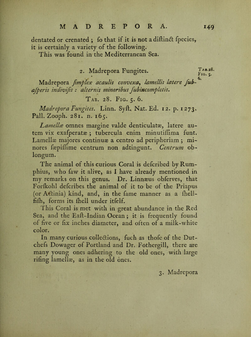dentated or crenated ; fo that if it is not a diftindb fpecies, it is certainly a variety of the following. This was found in the Mediterranean Sea. 2. Madrepora Fungites. ► Madrepora fimplex acaulis convexa^ lamellis latere fub-- afperis mdivijis t alternis 7ninoribus fubincompletis^ Tab. 28. Fig. 5. 6. Madrepora Fungites. Linn. Syft. Nat. Ed. 12. p. 1273, Pall. Zooph. 281. n. 165. Lafnellce omnes margine valde denticulatas, latere au- tem vix exafperatas ; tubercula enim minutiffima funt. Lamellse majores continuae a centro ad peripheriam ; mi- nores fepilfime centrum non adtingunt. Ce7itrum ob^ longum. The animal of this curious Coral is defcribed by Rum- phius, who faw it alive, as I have already mentioned in my remarks on this genus. Dr. Linnseus obferves, that Forfkohl defcribes the animal of it to be of the Priapus (or A6;inia) kind, and, in the fame manner as a fhell- fifh, forms its fhell under itfelf. This Coral is met with in great abundance in the Red Sea, and the Eaft-Indian Ocean; it is frequently found of five or fix inches diameter, and often of a milk-white color. In many curious colledions, fuch as thofe of the Dut- chefs Dowager of Portland and Dr. Fbthergill, there are many young ones adhering to the old ones, with large riling lamellae, as in the old ones.