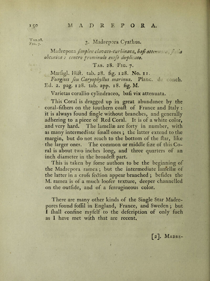 3* Madrepora Cyathus. Madrepora Juriplo: davato-iurhinata-^t baft attcvunia^ jlcila vh conic a : cent7'o promwulo exej'o ckfplicato. Tab. 28. Fig. 7. Maifigl. tab. 28. fig. 128. No. ii. Fungites feu Caryophyllus ina7''inus^^ Plane, dc conch. Ed. 2. pag. 128. tab. app. 18. fig. M. Varietas coiallio cylindraceo, bafi vix attenuata. This Coral is dragged up in great abundance by the * coral-fifiiers on the iouthern coaft of France and Italy : it is always found fingle without branches, and generally adhering to apiece of Red Coral. It is of a white color, _ and very hard. The lamella are forty in number, with as many intermediate fmall ones ; the latter extend to the margin, but do not reach to the bottom of the ftar, like ■ the larger ones. The common or middle fize of this Co- ral is about two inches long, and three quarters of an inch diameter in the broadeft part. This is taken by fome authors to be the beginning oi the Madrepora ramea ; but the intermediate lainellas oI the latter in a crofs fection appear branched ; befides the M. ramea is of a much loofer texture, deeper channelled on the outfide, and of a ferrugineous color. There are many other kinds of the Single Star Madre- pores found fofiil in England, France, and Sweden; but i fhall confine myfelf to the defeription of only fuch as I have met with that are recent. [2]. Madre“