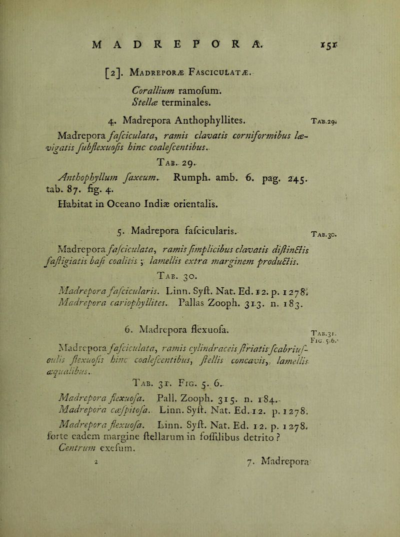 [2]. MaDREPOR.® FASCICULATiE.- CoralUum ramofum-. Stellce terminales. 4. Madrepora AnthophyHites. Ta^.29j Madrepora fafciculata^ ramis clavatis cor7ttformihus Ice^ vigatis fubflexmji^ hinc coalefceiitibus. Tab. 29. Aiithophylluin faxeum,. Rumph. amb. €, pag. 245. tab. 87. fig. 4. Habitat in Oceano Indiae orientalis. 5. Madrepora fafcicularis. Madrepora fafcicidata^ ramisJimplicibus clavatis diflinSiis JaJiigiath baft co a litis ;■ latnellis extra tnarginem produSlis, Tab. 30. Madrepora fafcictdaris, Linn. Syft. Nat. Ed. 12. p. 1278* Tab. 30. Madrepora cariophyllites, Pallas Zooph. 31-3. n. 183. 6. Madrepora flexuofa. ^fadfafcicalata^ ramis cylindraceis firiatisfcabriuf- otilis fexuofis hinc coalefcetitibusj flellis concavis^, latnellis- T AB.31. Fig. 5.6. CC(^ ilclllljtx S.. Tab. 3r. Fig. 5. 6... Madrepora flexuofa, Pall. Zooph. 315. n. 184.- Madrepora catfpitofa.. Linn. Syfl:. Nat. Ed..i.2. p. 1278. Madrepora flexuofa. Linn. Syft. Nat. Ed. 12. p. 12^78. fdrle cadem margine ftellarnm in fofTilibus detrito } Centrum exefnm. 2 7. Madrepora'