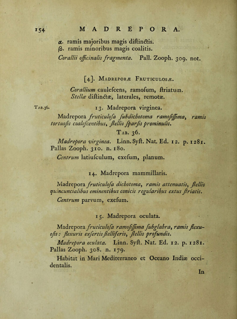 ct. ramis majoribus magis diflindis. |3. ramis minoribus magis coalitis. Cor aim officinalis fragment a, Pall. Zooph. 309. not. [4]. MADREPORiE FrUTICULOS^. Cor allium caulefcens, ramofum, ftriatum, Stellce difliindt^, laterales, remotae. 13. Madrepora virginea. Madrepora fruticulofa fubdichotoma ramofffitmUy ramis iortuofes coalefcentibus^ fellis fparfes prominulis. Tab. 36. Madrepora virginea, Linn. Syft. Nat. Ed. 12. p. 1281. Pallas Zooph. 310. n. 180. Centrum latiufculum, exefum, planum. .' 14. Madrepora mammillaris. • Madrepora fruticulofa dichotoma^ ramis attenuatis^ flellh T^uincuncialibus eminentibus conicis regidaribus extus friatis^ Centrum parvum, exefum. 15. Madrepora oculata. Madrepora frutictdofa ramofiffi7na fubglahra^ ramis flexu- ofis: flexuris exfertisftelliferis^ fellis profundis, Madrepora oculata. Linn. Syft. Nat. Ed. 12. p. 1281. Pallas Zooph. 308. n. 179. Habitat irt. Mari Mediterraneo et Oceano Indias occi- dentalis. 154 Tab.36. In