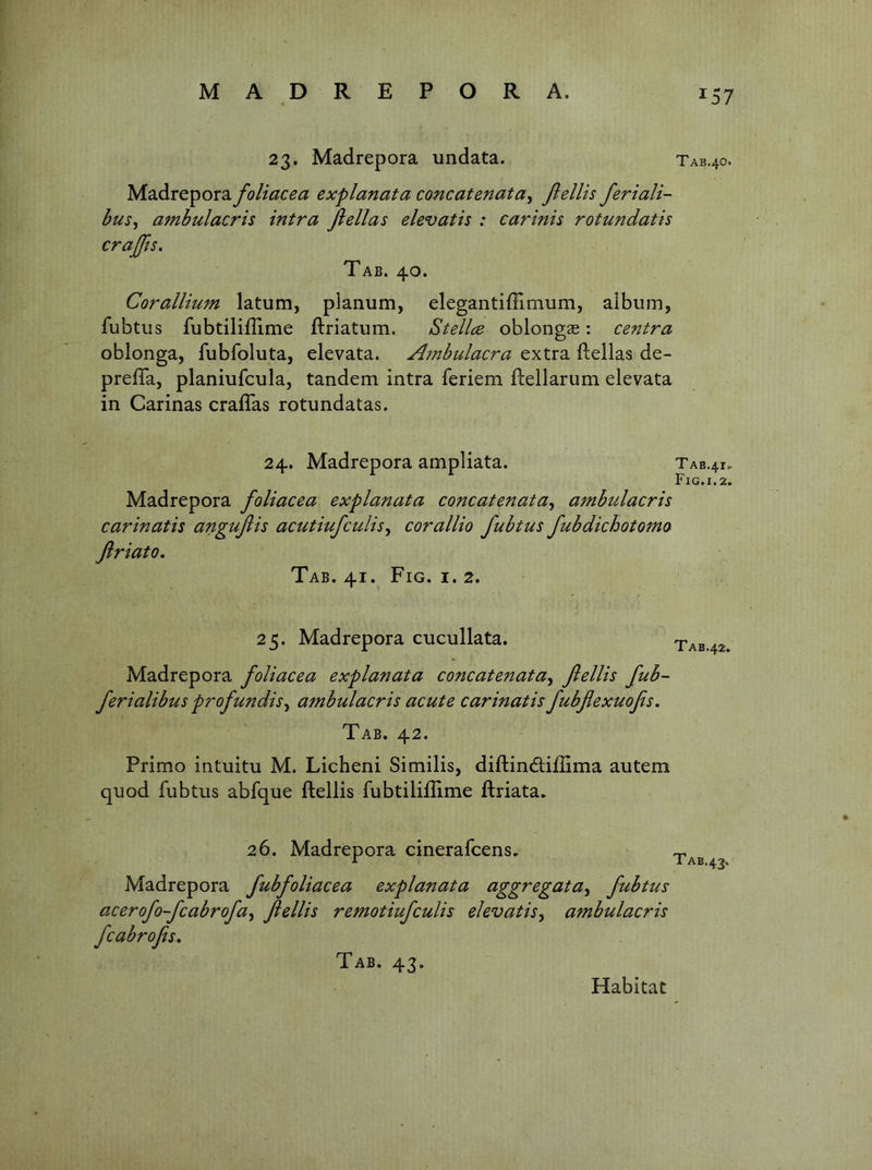 23. Madrepora undata. TAB.40. Madreporayj?//W^^ explanata concatenata^ fiellis feriali- bus, ambulacris intra fiellas elevatis : carinis rotundatis crajjts. Tab. 40. Corallium latum, planum, elegantiffimum, album, fubtus fubtiliiTime ftriatum. Stellce oblongee: centra oblonga, fubfoluta, elevata. Ajnbulacra extra fiellas de- preffa, planiufcula, tandem intra feriem flellarum elevata in Carinas cralTas rotundatas. 24. Madrepora ampliata. TAB.4r. Fig.1.2. Madrepora foliacea explanata concatenata^ ambulacris carinatis angujlis acutiufculis^ corallio fubtus fubdichotoma Jlriato, Tab. 41. Fig. i. 2. 25. Madrepora cucullata. TAB.42, Madrepora foliacea explanata concatenata^ fiellis fub- ferialibus profundis^ ambulacris acute carinatis fubfiexuofis. Tab. 42. Primo intuitu M. Licheni Similis, diflindliflima autem quod fubtus abfque fiellis fubtilifUme flriata. 26. Madrepora cinerafcens. Madrepora fubfoliacea explanata aggregata^ fubtus acerofo-fcabrofa<^ fiellis remotiufculis elevatis^ ambulacris fcabrofis. Tab. 43.