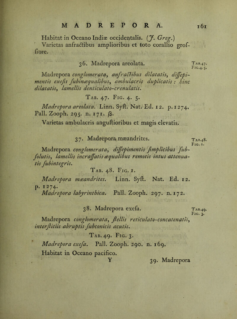 Habitat in Oceano Indiae occidentalis. (y, Greg,) Varietas anfradibus amplioribus et toto corallio fiore. 36. Madrepora areolata, Madrepora conglo7nerata^ anfraSiibus dilatatis^ dijfepi- mentis exejis fubin^Equalibus^ ambulacris duplicatis : hinc dilatatis^ lamellis denticulato-crenulatis. Tab. 47. Fig. 4. 5. Madrepora areolata. Linn. Syft. Nat. Ed. 12. p. 1274. Fall. Zooph. 295. n. 171. Varietas ambulacris anguftioribus et magis elevatis. 37. Madrepora m^andrites, Madrepora conglomerata^ dijfepimentis JimpUcibus fub- folutis^ lamellis incrajfatis cequalibus remotis intus attenua- tis fubintegris. Tab. 48. Fig. i. Madrepora mceandrites, Linn. Syft. Nat. Ed. 12. p. 1274. Madrepora labyrinthica, Pall. Zooph. 297. n. 172. 38. Madrepora exefa. Madrepora conglomerata^ Jlellis reticulato-concatejiatUy interjlitiis abruptis fubco77icis acutis. Tab. 49. Fig. 3. Madrepora exefa, Pall. Zooph. 290. n. 169. Habitat in Oceano pacifico. Tab.47. FiG.4.5. T AB.48. Fig. I. Tab.49. Fig. 3.