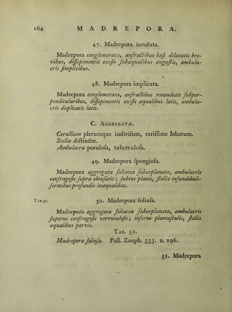 47. Madrepora invaluta. Madrepora co7iglo7}ierata^ anfraSlihus hafi dilatatis bre~ vibusy dij[[epi777e7itis exefis fubcccitialibus a7^guft^Sy aTnhula- cris Ji777plicibus, 48. Madrepora implicata. Madrepora co77glo77ieratay aT^fraSiibus rotuTidatis fiihper- pe7idicularibusy dijfepi77ie77th exefis cequalibus latisy atTtbula- cris duplicatis latis^ C. Aggregat^e. CoralliuTTi plerumque indivifum, rariffime lobatum, Stellcz diflin6lae. A777bulacra porulofa, tuberculofa» 49. Madrepora fpongiofa^ Madrepora aggregata foUacea fiiihexplaTtatay a777buJacrh co77fragofis fiupra obtufiatis ; Jubtus pluTiiSy fields mfiuftdibuli- forfTtibus profuT^dis incequalibiLS^ Tab.52. Madrepora foliofa. Madrepora aggregata foliacea fiubexplaTtatay amhulacrh fiuperTie co77fragofiis verruculofisy inferT^e plaTtiuficulisy fields cequadbus parvis. Tab. 52. Madrepora fodofia, Pall. Zooph. 333. n. 196..