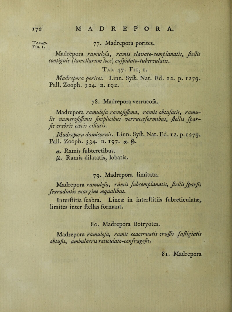 JAB47. yy. Madrepora porites. Madrepora ramulofa^ ramis davato-complanathy Jlellis contiguis [lamellarum loco) cufpidato-tuberculath ^ Tab. 47. Fig. i. Madrepoi'a porites. Linn. Syft. Nat. Ed. 12. p. 1279. Pall. Zooph. 324. n. 192. 78. Madrepora verrucofa. Madrepora ramulofa ramofiJUima^ ramis ohtufatis^ ramu- lis numerojijftmis Jimplicibus verrucceformibusy flellis fpar- Jis crebris ccecis ciliatis. Madrepora damicornis. Linn. Syft. Nat. Ed. 12. p. 1279* Pall. Zooph. 334. n. 197. ct- |3. fit. Ramis fubteretibus. Ramis dilatatis, lobatis. 79. Madrepora limitata. Madrepora ramulofa^ ramis fubcomplanatisy Jlellis fparjii fexradiatis margine (zqualibus, Interftitia fcabra. Lineae in interftitiis fubreticulatae^ limites inter ftellas formant. 80. Madrepora Botryotes. ' Madrepora ramulofay ramis coacervatis crajfis fajligiatis obtufiSy ambulacris reticulato-confragojts.