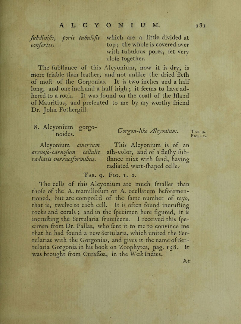 fuhdivtfis^ ports tuhiilofis which are a little divided at eonfertis, top; the whole is covered over with tubulous pores, fee very clofe together. The fubftance of this Alcyonium, now it is dry, is nlore friable than leather, and not unlike the dried defli of mofl: of the Gorgonias. It is two inches and a half long, and one inch and a half high ; it feems to have ad- hered to a rock. It was found on the coaft of the Ifland of Mauritius, and prefented to me by my worthy friend Dr. John Fothergill. 8. Alcyonium gorgo- ^ noides Lrorgon-ltke Alcyomum. Tab Alcyonium cimreum This Alcyonium is of an arenofo-carnofutn cellulis afh-color, and of a flefhy fub- radiatis verrudfortnibus. fiance mixt with fand, having radiated wart-lTiaped cells. Tab. 9. Fig. i. 2. The cells of this Alcyonium are much fmaller than thofe of the A. mamillofum or A. ocellatum beforemen- tioned, but are compofed of the fame number of rays, that is, twelve to each cell. It is often found incrufting rocks and corals ; and in the fpecimen here figured, it is incrufting the Sertularia frutefeens. I received this fpe- cimen from Dr. Pallas, who fent it to me to convince me that he had found a new Sertularia, which united the Ser- tularias with the Gorgonias, and gives it the name of Ser- tularia Gorgoniain his book on Zoophytes, pag. 158. It was brought from Curaftba, in the Weft Indies,- At