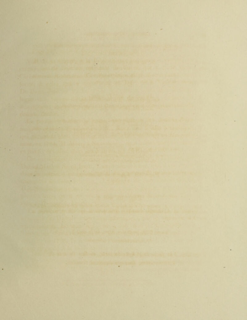 ■' • î ■ ■■'■ f'y ê-.i- ' ^ ■ ^ / />/ T . Vr-' >; f i* -* ^ ■ * '.^ V ’l « . r-,' ■ ■ ■ , >V'^'-*i‘*, ■■’‘* T/--' -.V^r'^^^'îf'’^^ ^■' . -■ fc?,.' ■ .< . ' lpHpPf4*?m^6 ~f- r. “' -PP*«Î' --E-- ».