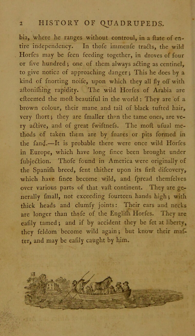 bia, where he ranges without controul, in a ftate of en- tire independency. In thofe immenfe tracts, the wild Horfcs may be feen feeding together, in droves of four or five hundred; one of them always adting as centinel, to give notice of approaching danger; This he does by a kind of fnorting noife, upon which they all fly off with aftonifhing rapidity. The wild Horfes of Arabia are efleemed the moft beautiful in the world: They are of a brown colour, their mane and tail of black tufted hair, very fhort; they are fmaller than the tame ones, are ve- ry active, and of great fwiftnefs. The moft ufual me- thods of taken them are by fnares or pits formed in the fand.—It is probable there were once wild Horfes in Europe, which have long fince been brought under fubjedtion. Thofe found in America were originally of the Spanifh breed, fent thither upon its firft difeoverv, which have finCe become wild, and fpread themfelves over various parts of that vaft continent. They are ge- nerally fmall, not exceeding fourteen hands high; with thick heads and clumfy joints: Their ears and necks are longer than thofe of the Englifh Horfes. They are eafily tamed; and if by accident they be fet at liberty, they feldom become wild again; but know their maf- ter, and may be eafily caught by him.