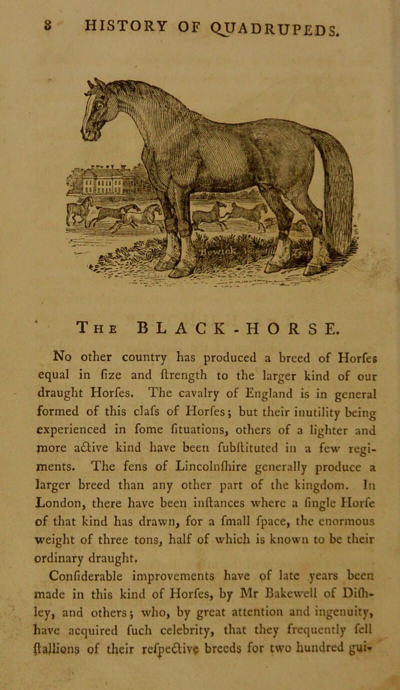 The BLACK-HORSE. No other country has produced a breed of Horfes equal in fize and ftrength to the larger kind of our draught Horfes. The cavalry of England is in general formed of this clafs of Horfes; but their inutility being experienced in fome fituations, others of a lighter and more a£tive kind have been fubllituted in a few regi- ments. The fens of Lincolnfhire generally produce a larger breed than any other part of the kingdom. In London, there have been inftances where a fingle Horfe of that kind has drawn, for a fmall fpace, the enormous weight of three tons, half of which is known to be their ordinary draught. Confiderable improvements have of late years been made in this kind of Horfes, by Mr Bakewell of Dilh- ley, and others; who, by great attention and ingenuity, have acquired fucli celebrity, that they frequently fell {tajlions of their refpe&ive breeds for two hundred gui-