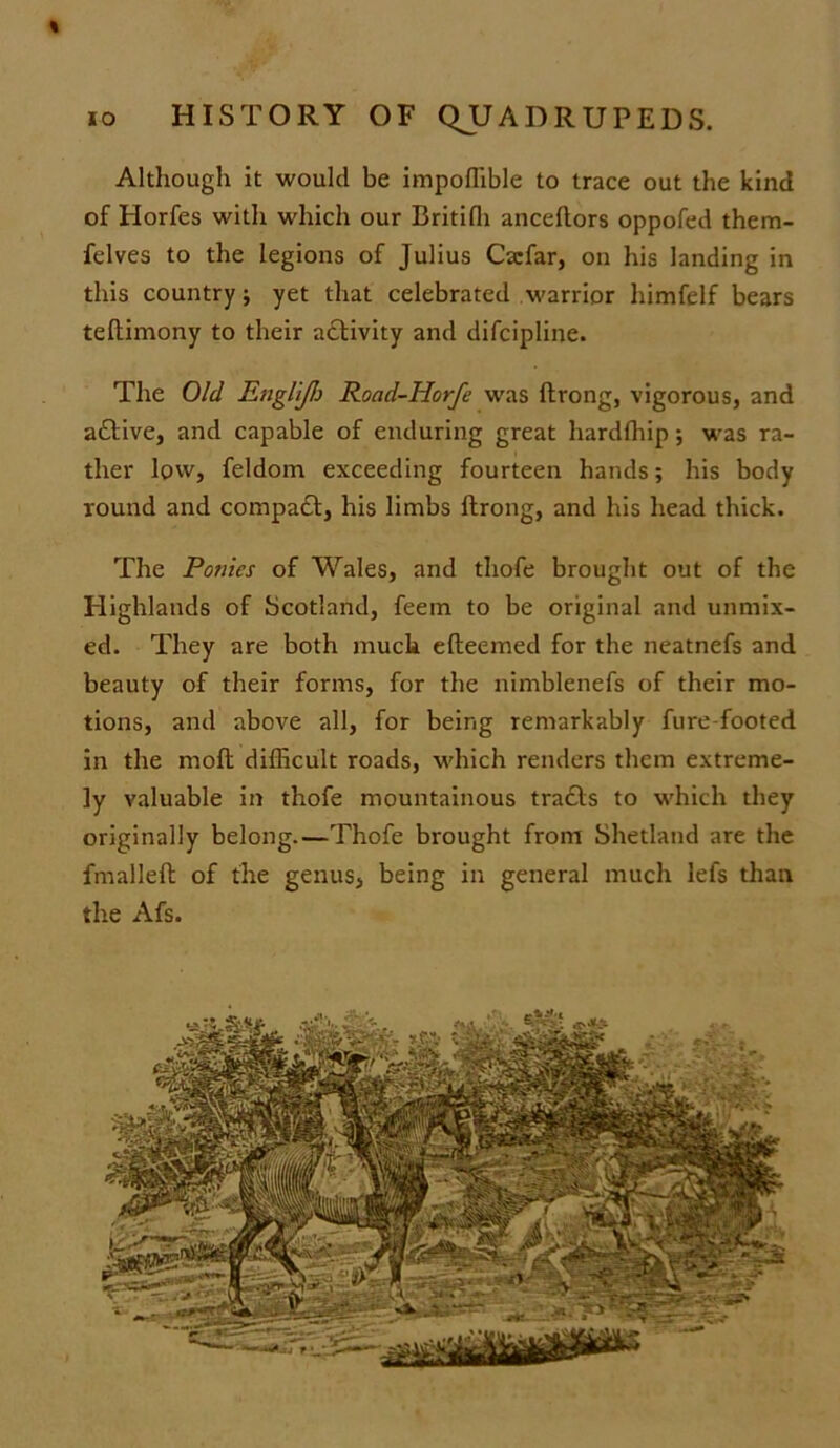 « 10 HISTORY OF QJJADRUPEDS. Although It would be impoffible to trace out the kind of Horfes with which our Britifh anceftors oppofed them- fclves to the legions of Julius Cacfar, on his landing in this country; yet that celebrated warrior himfelf bears teftimony to their activity and difcipline. The Old Englijh Road-Horfe was ftrong, vigorous, and adtive, and capable of enduring great hardfhip; was ra- ther low, feldom exceeding fourteen hands; his body round and compaft, his limbs ftrong, and his head thick. The Ponies of Wales, and thofe brought out of the Highlands of Scotland, feem to be original and unmix- ed. They are both muck efteemed for the neatnefs and beauty of their forms, for the nimblenefs of their mo- tions, and above all, for being remarkably fure footed in the moft difficult roads, which renders them extreme- ly valuable in thofe mountainous tracts to which they originally belong.—Thofe brought from Shetland are the fmalleft of the genus, being in general much lefs than the Afs.