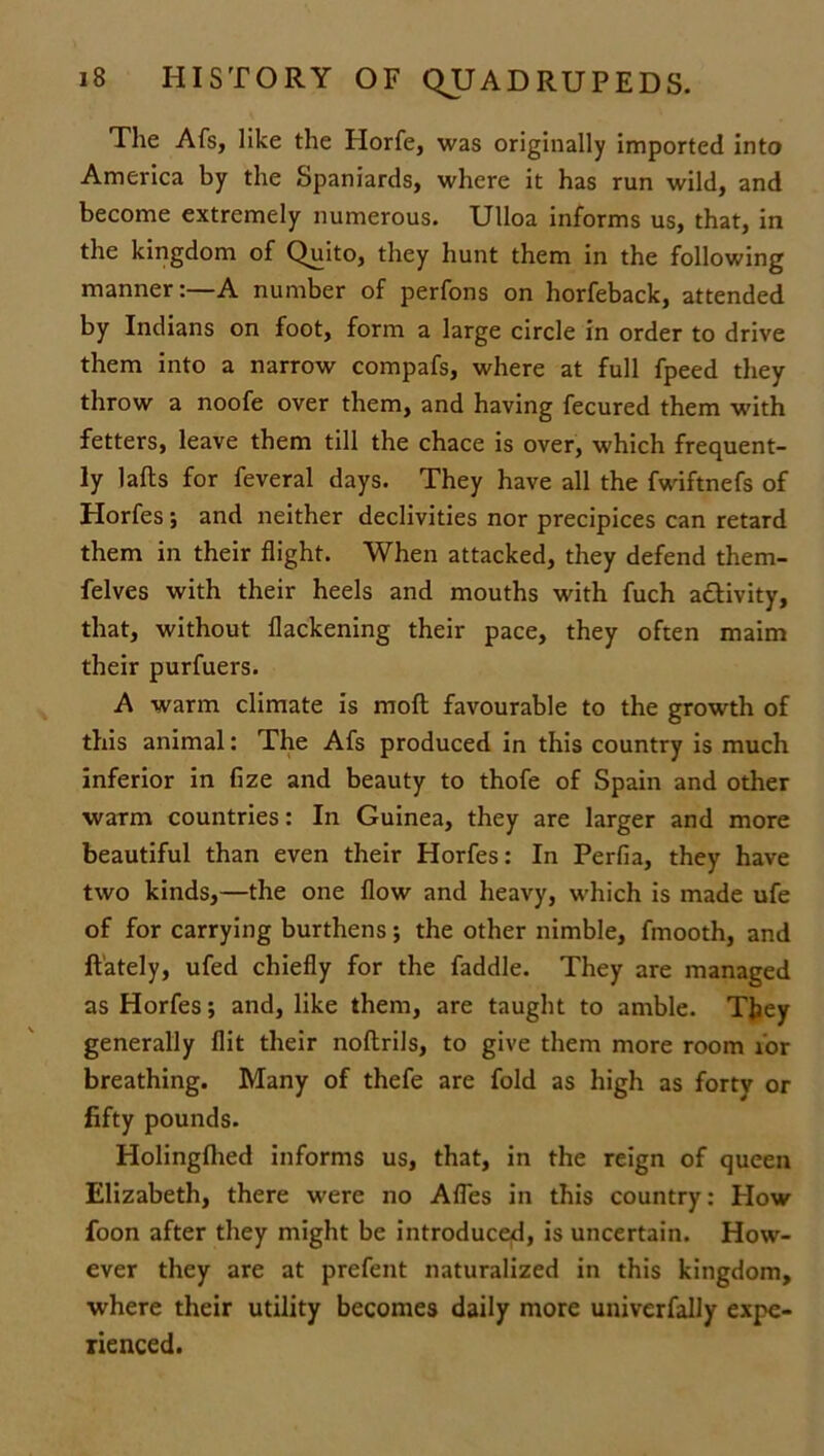 The Afs, like the Plorfe, was originally imported into America by the Spaniards, where it has run wild, and become extremely numerous. Ulloa informs us, that, in the kingdom of Quito, they hunt them in the following manner:—A number of perfons on horfeback, attended by Indians on foot, form a large circle in order to drive them into a narrow compafs, where at full fpeed they throw a noofe over them, and having fecured them with fetters, leave them till the chace is over, which frequent- ly lafts for feveral days. They have all the fwiftnefs of Horfes ; and neither declivities nor precipices can retard them in their flight. When attacked, they defend them- felves with their heels and mouths with fuch activity, that, without flackening their pace, they often maim their purfuers. A warm climate is moft favourable to the growth of this animal: The Afs produced in this country is much inferior in fize and beauty to thofe of Spain and other warm countries: In Guinea, they are larger and more beautiful than even their Horfes: In Perfia, they have two kinds,—the one flow and heavy, which is made ufe of for carrying burthens; the other nimble, fmooth, and flately, ufed chiefly for the faddle. They are managed as Horfes; and, like them, are taught to amble. They generally flit their noftrils, to give them more room for breathing. Many of thefe are fold as high as forty or fifty pounds. Holingfhed informs us, that, in the reign of queen Elizabeth, there were no Afles in this country: Plow foon after they might be introduce^, is uncertain. How- ever they are at prefent naturalized in this kingdom, where their utility becomes daily more univerfally expe- rienced.
