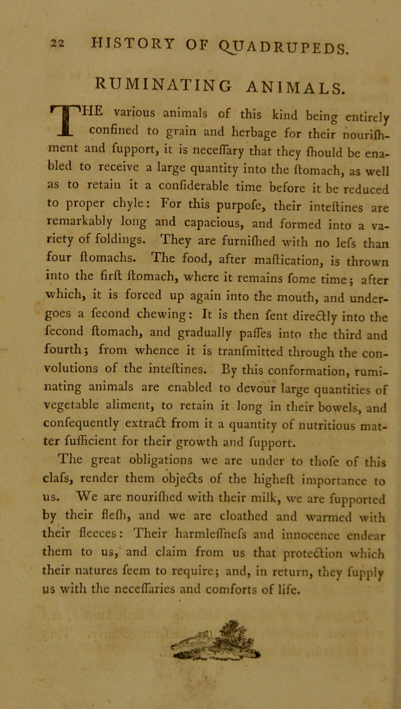 RUMINATING ANIMALS. THE various animals of this kind being entirely confined to grain and herbage for their nourilh- ment and fupport, it is neceflary that they fhould be ena- bled to receive a large quantity into the ftomach, as well as to retain it a confiderable time before it be reduced to proper chyle: For this purpofe, their inteftines are remarkably long and capacious, and formed into a va- riety of foldings. They are furnilhed with no lefs than four ftomachs. The food, after maftication, is thrown into the firft ftomach, where it remains fome time; after which, it is forced up again into the mouth, and under- goes a fecond chewing: It is then fent directly into the fecond ftomach, and gradually pafles into the third and fourth; from whence it is tranfmitted through the con- volutions of the inteftines. By this conformation, rumi- nating animals are enabled to devour large quantities of vegetable aliment, to retain it long in their bowels, and confequently extract from it a quantity of nutritious mat- ter fufficient for their growth and fupport. The great obligations we are under to thofe of this clafs, render them objeCts of the higheft importance to us. We are nouriflied with their milk, we are fupported by their flefh, and we are cloathed and warmed with their fleeces: Their harmleflnefs and innocence endear them to us, and claim from us that protection which their natures feem to require; and, in return, they fupply US with the neceflaries and comforts of life.
