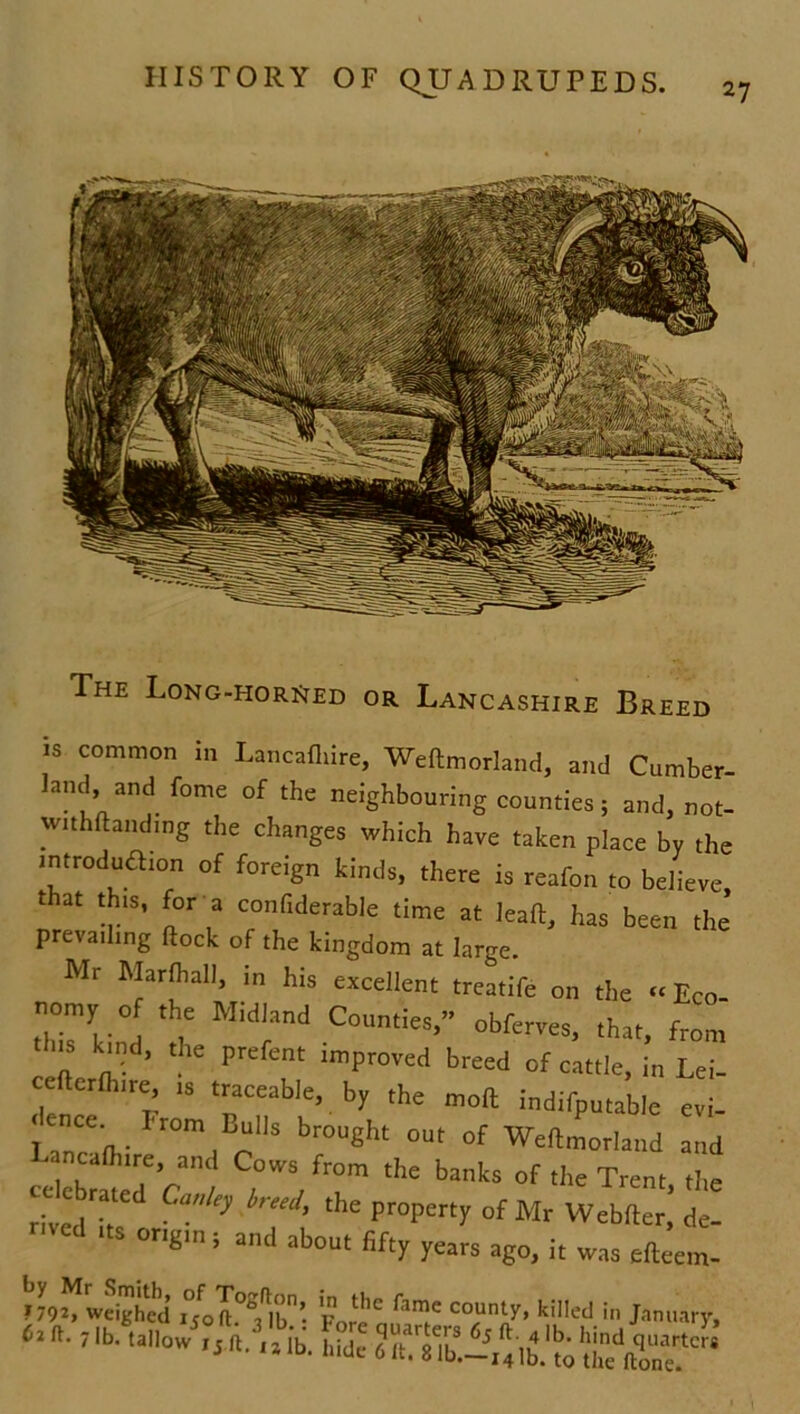27 The Long-horded or Lancashire Breed is common in Lancafhire, Weftmorland, and Cumber- land and feme of the neighbouring counties; and, not- withftanding the changes which have taken place by the introduction of foreign kinds, there is reafon to believe that this, for a confidence time at leaft, has been the’ prevailing flock of the kingdom at large. Mr Marfhall, in his excellent treatife on the « Eco nomy o the Midland Counties,” obferves, that, from tins kind, the prefent improved breed of cattle, in Lei- cefterfhire, is traceable, by the moft indifputable evi- |CCC'^ °m, ;I1S br°Ught °Ut of Weftmorland and .ancaflnre, and Cows from the banks of the Trent the cc ebrated Canley breed, the property of Mr Webfter,’ de- S °ngln 5 and about fi% years ago, it was efteem- F^weighed Fore auT kied in January,