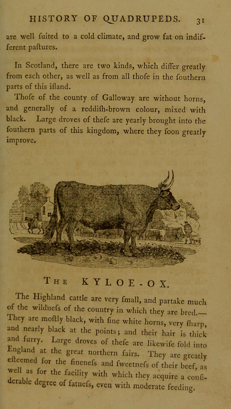 are well fuited to a cold climate, and grow fat on indif- ferent paftures. In Scotland, there are two kinds, which differ greatly from each other, as well as from all thofe in the fouthern parts of this illand. Thofe of the county of Galloway are without horns, and generally of a reddifh-brown colour, mixed with black. Large droves of thefe are yearly brought into the fouthern parts of this kingdom, where they foon greatly improve. The KYLOE-OX. The Highland cattle are very fmall, and partake much of the wild'nefs of the country in which they are bred.— They are moftly black, with fine white horns, very fharn and nearly black at the points; and their hair is thick and furry. Large droves of thefe are likewife fold into England at the great northern fairs. They are greatly e(teemed for the finenefs and fweetnefs of their beef, as jell as for the facility with which they acquire a confi- era e egree of fatnefs, even with moderate feeding.